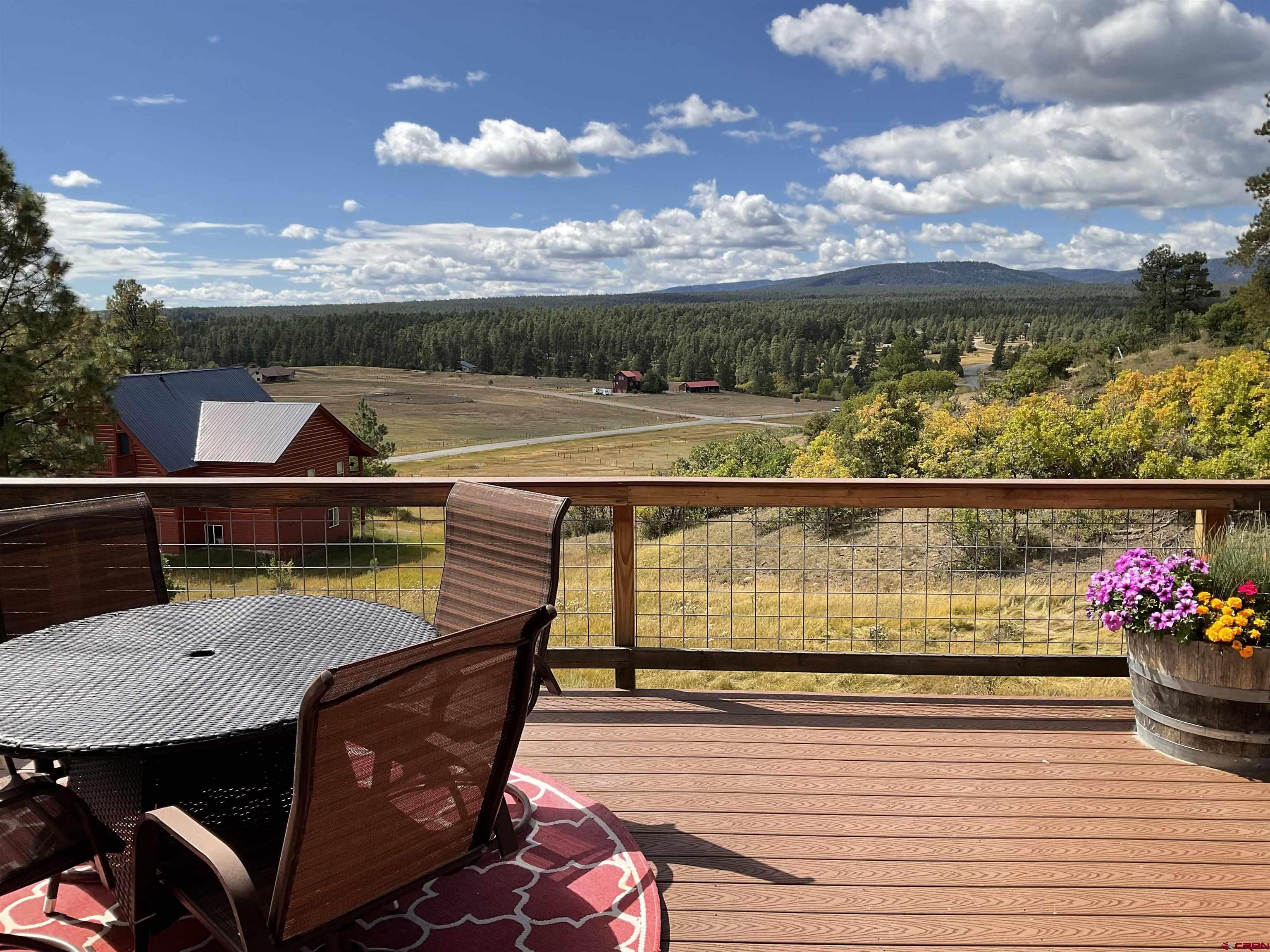 233 Woodland Dr, Pagosa Springs, CO 81147 Listing Photo  5