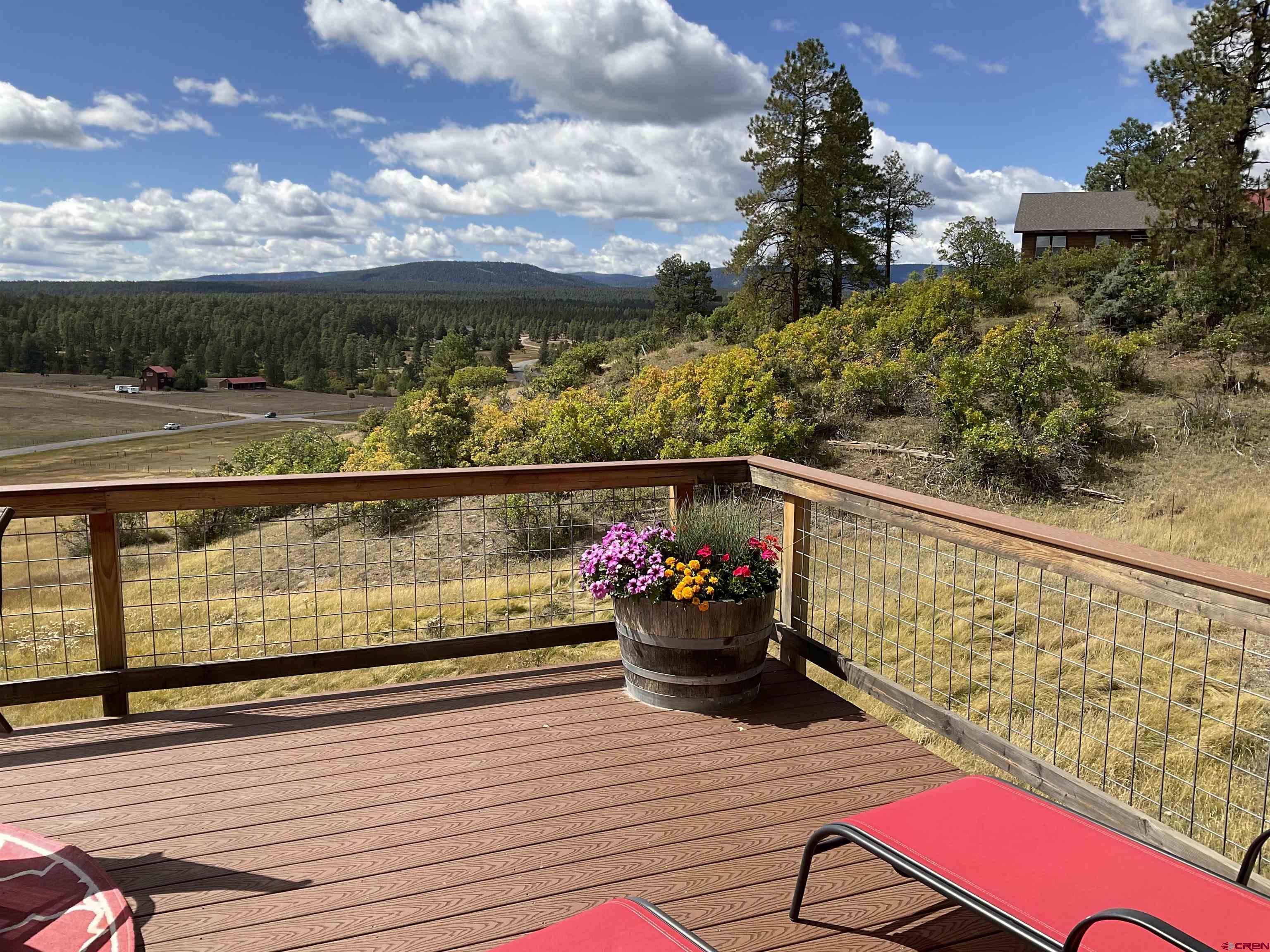 233 Woodland Dr, Pagosa Springs, CO 81147 Listing Photo  6