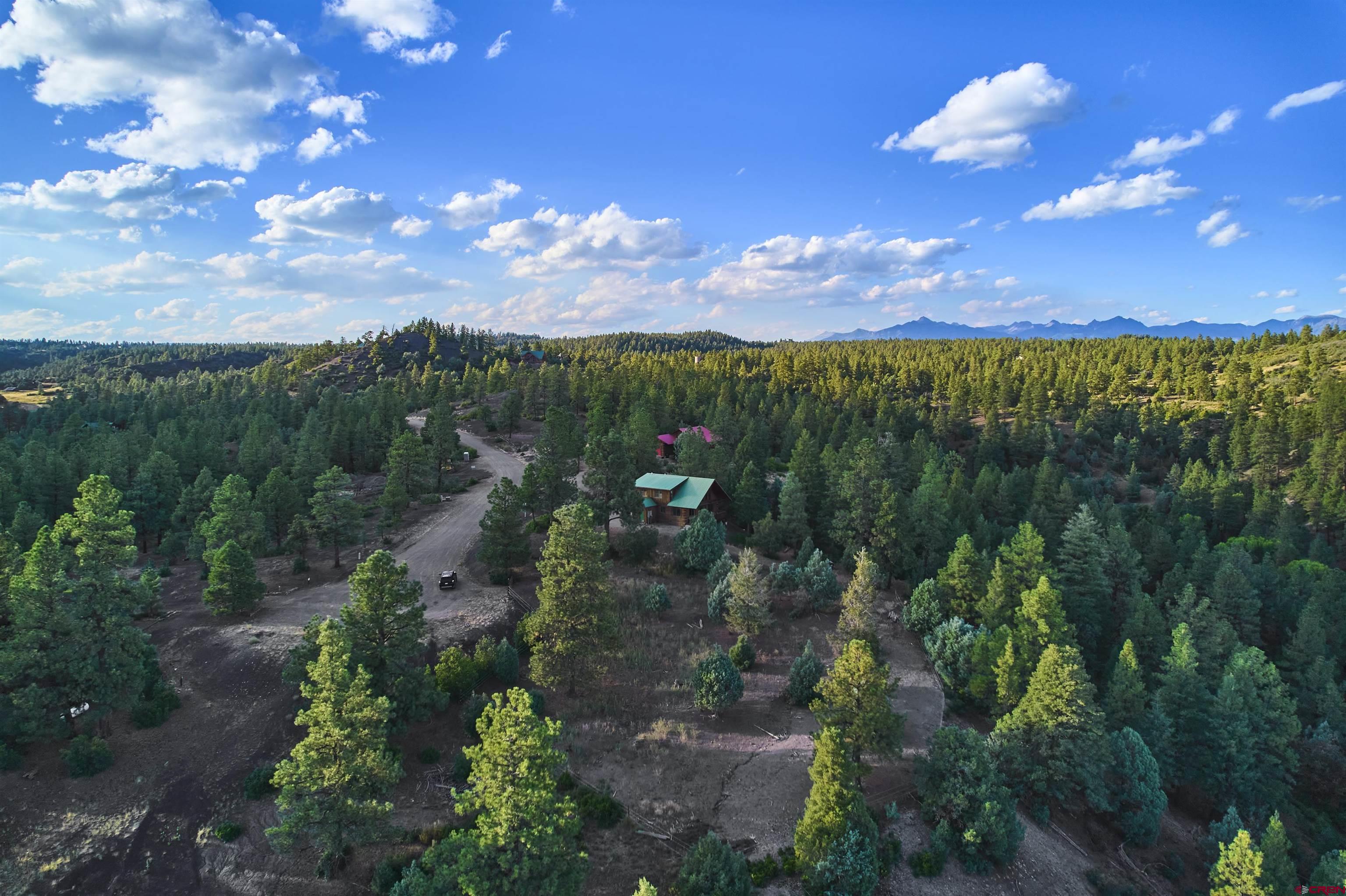 368 Crestone Place, Pagosa Springs, CO 81147 Listing Photo  33