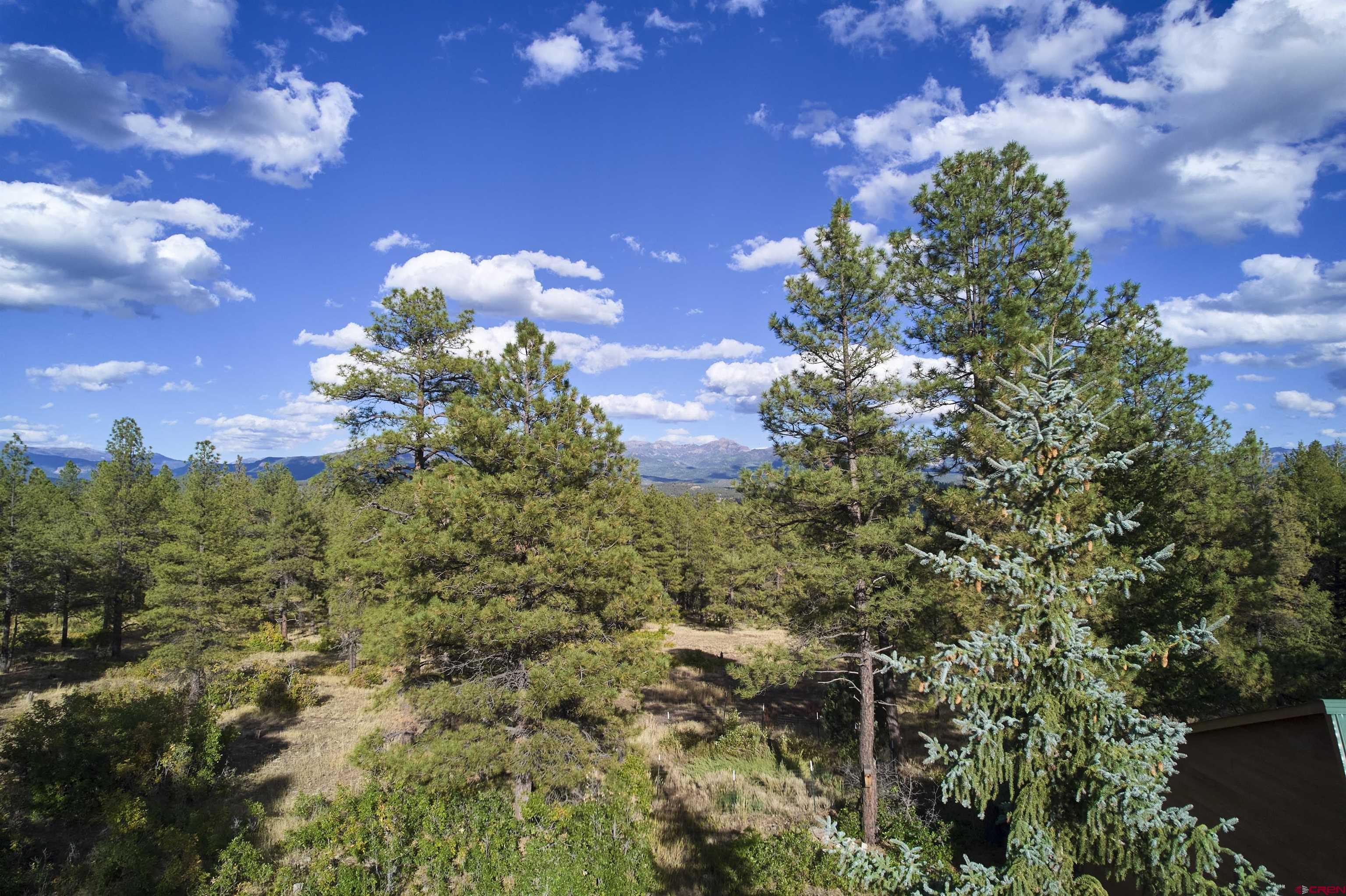 870 Great West Avenue, Pagosa Springs, CO 81147 Listing Photo  3