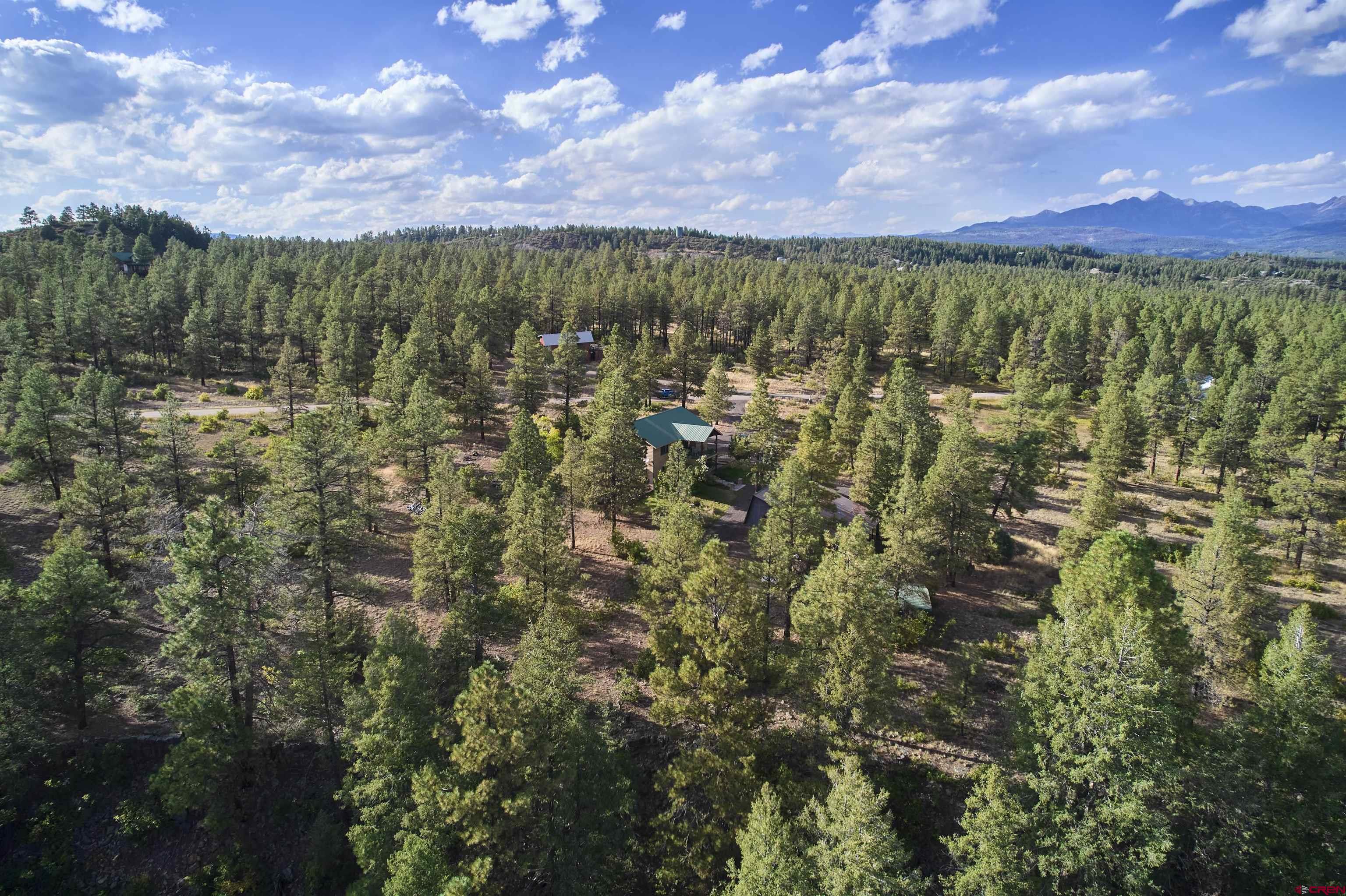 870 Great West Avenue, Pagosa Springs, CO 81147 Listing Photo  33