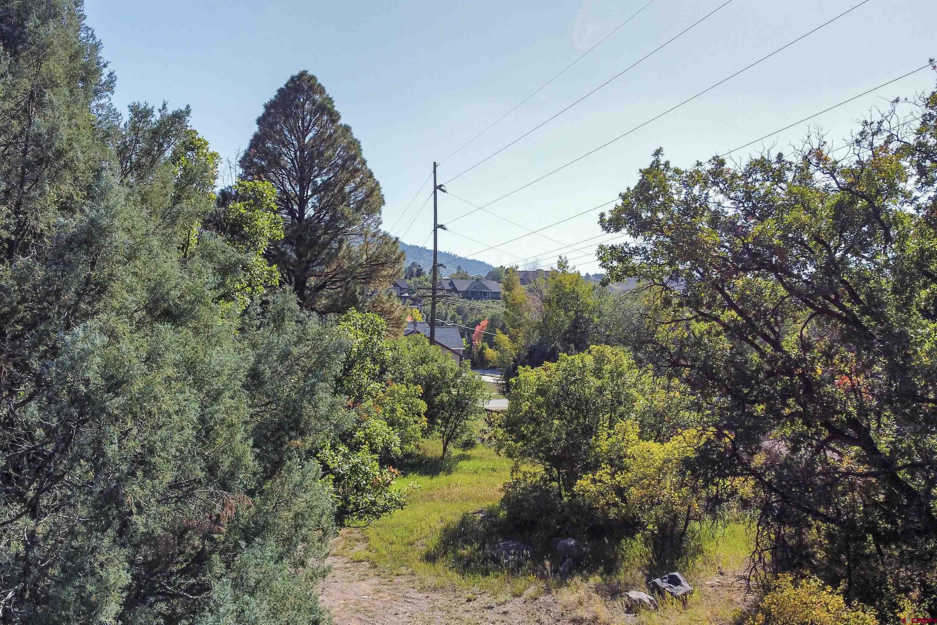 9 Elkridge Lane, Durango, CO 81301 Listing Photo  5