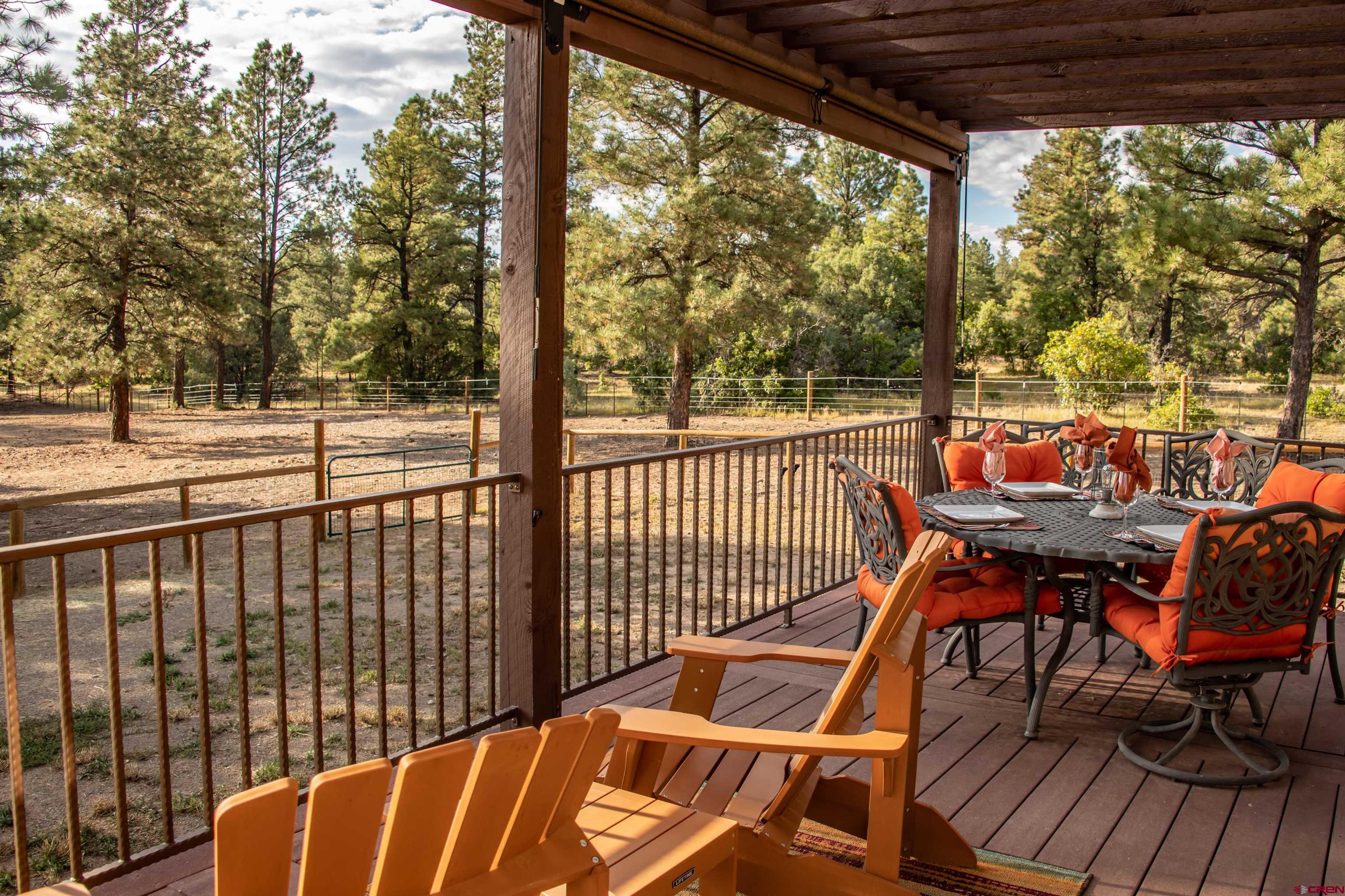 82 Castle Place, Pagosa Springs, CO 81147 Listing Photo  6