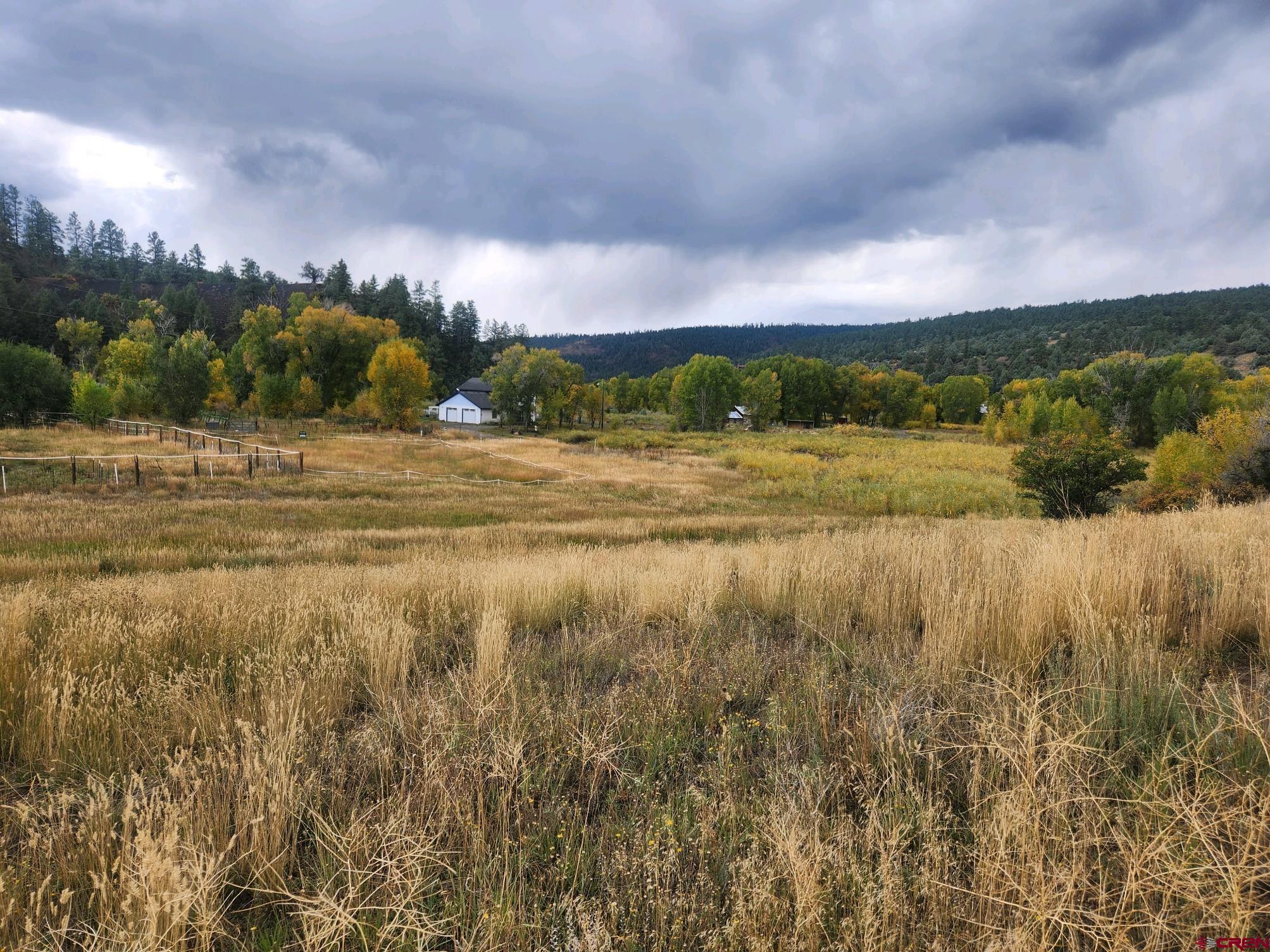 X County Road 335, Pagosa Springs, CO 81147 Listing Photo  15