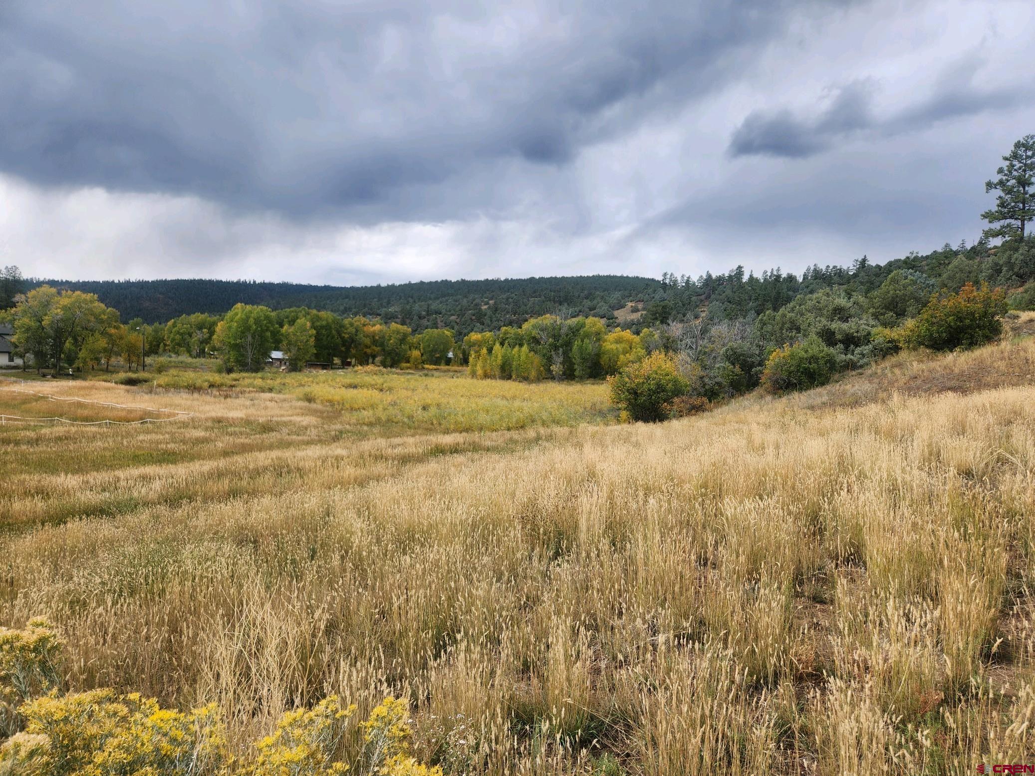 X County Road 335, Pagosa Springs, CO 81147 Listing Photo  4