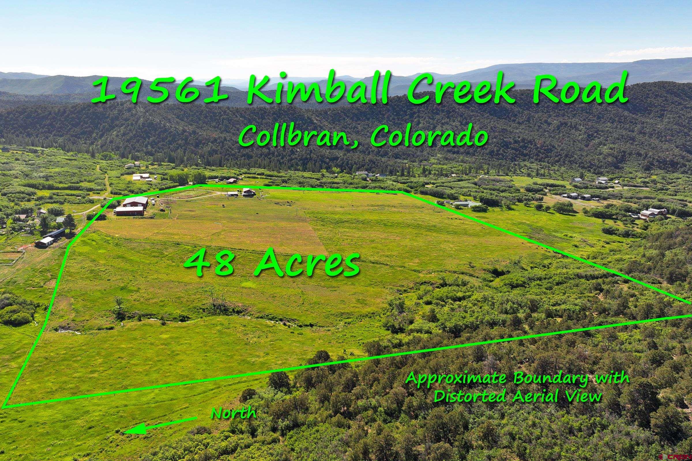 19561 Kimball Creek Road, Collbran, CO 81624 Listing Photo  5