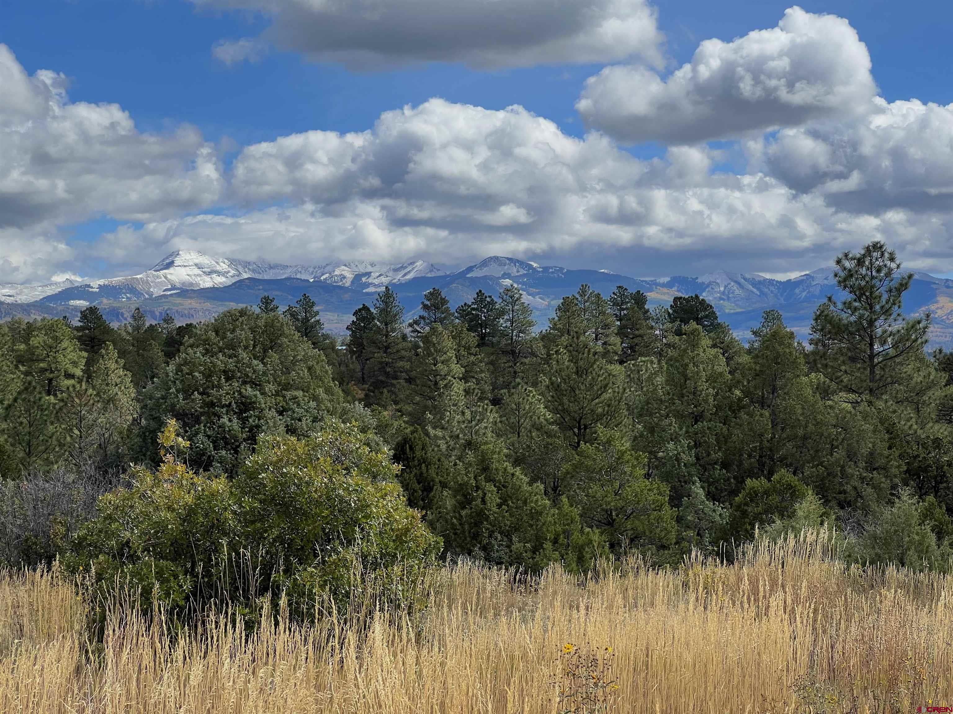 Photo of Tbd 38 Rd in Mancos, CO