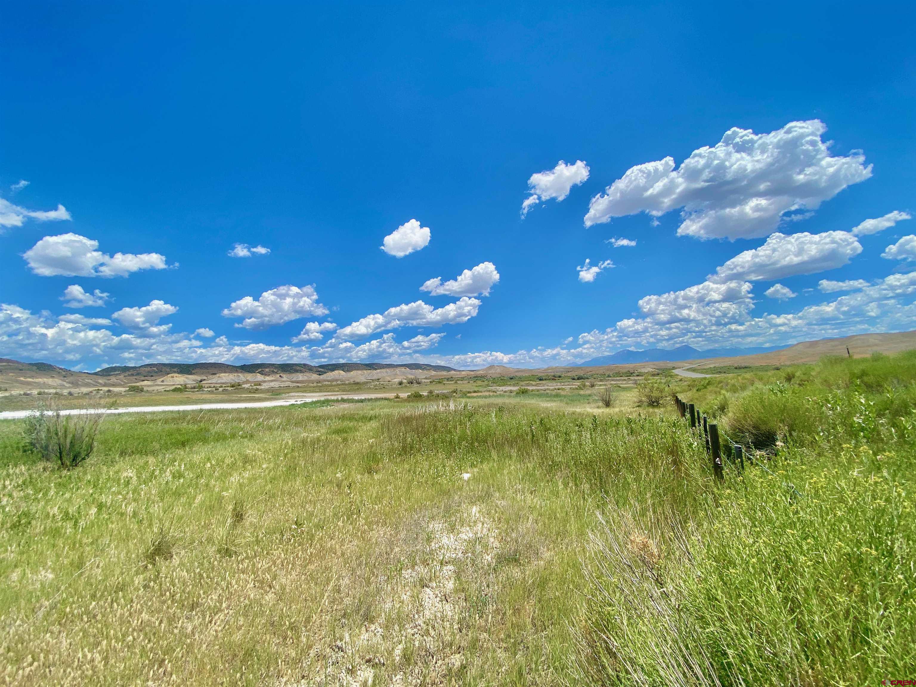 Wide open spaces!  This large parcel offers huge views and privacy.  Located between Delta and Hotchkiss, this property is conveniently located off the highway.  There is a conservation easement on the property and one home is allowed.