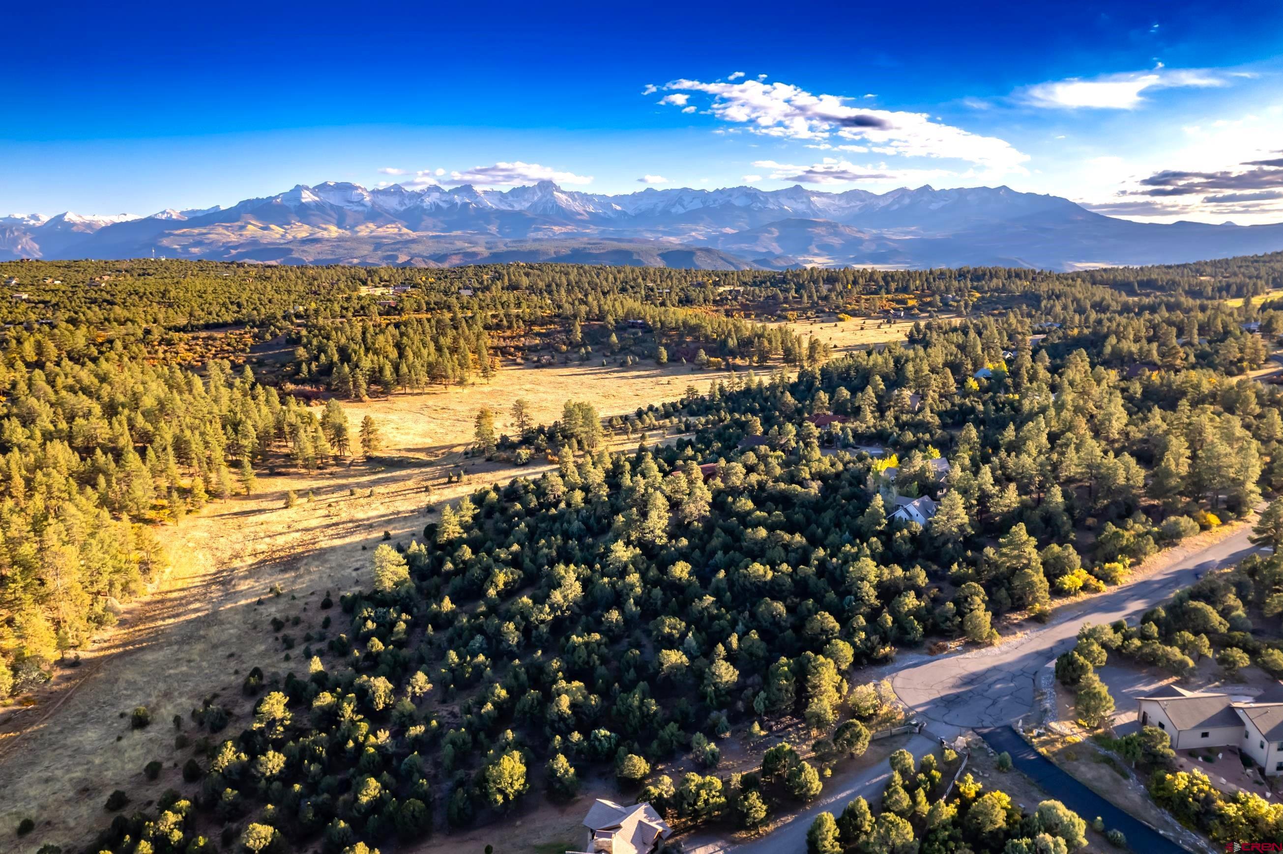 Spectacular .98 Acre Lot with Mountain Views and Serene Surroundings.  Discover the epitome of mountain living on this expansive lot, boasting awe-inspiring views of the majestic mountains and enveloped by a tranquil setting of towering, mature Ponderosa pines ensuring your privacy and serenity.  Situated just a short 12-minute drive from Ridgway, 25 minutes from Montrose, and a mere 55 minutes from the enchanting town of Telluride, this location offers the perfect blend of convenience and seclusion. The possibilities are endless with an excellent build site, providing you with numerous options to craft a home tailored to your desired floor plan and lifestyle.  For golf enthusiasts, this parcel is conveniently located less than a mile from Divide Ranch, promising easy access to pristine golfing experiences. All roads leading to Ridgway, Montrose and Telluride are paved, and for the adventurous spirits, optional gravel roads present enticing shortcuts. Immerse yourself in the picturesque views of the San Juans and Cimarrons, embracing the elevated vantage point this property affords.  Opportunities like this are rare, with only a few lots left boasting such remarkable features. Don't miss your chance to build the mountain retreat of your dreams in this truly remarkable location.  This lot is gently sloping to the east and borders approximately 18 acres of Loghill Village open space. Buyer to pay the $3000 golf and country club membership transfer fee. There is approximately a $1800 +/- membership fee due annually. Power, water, and natural gas are to the property line. This lot is a must see!!