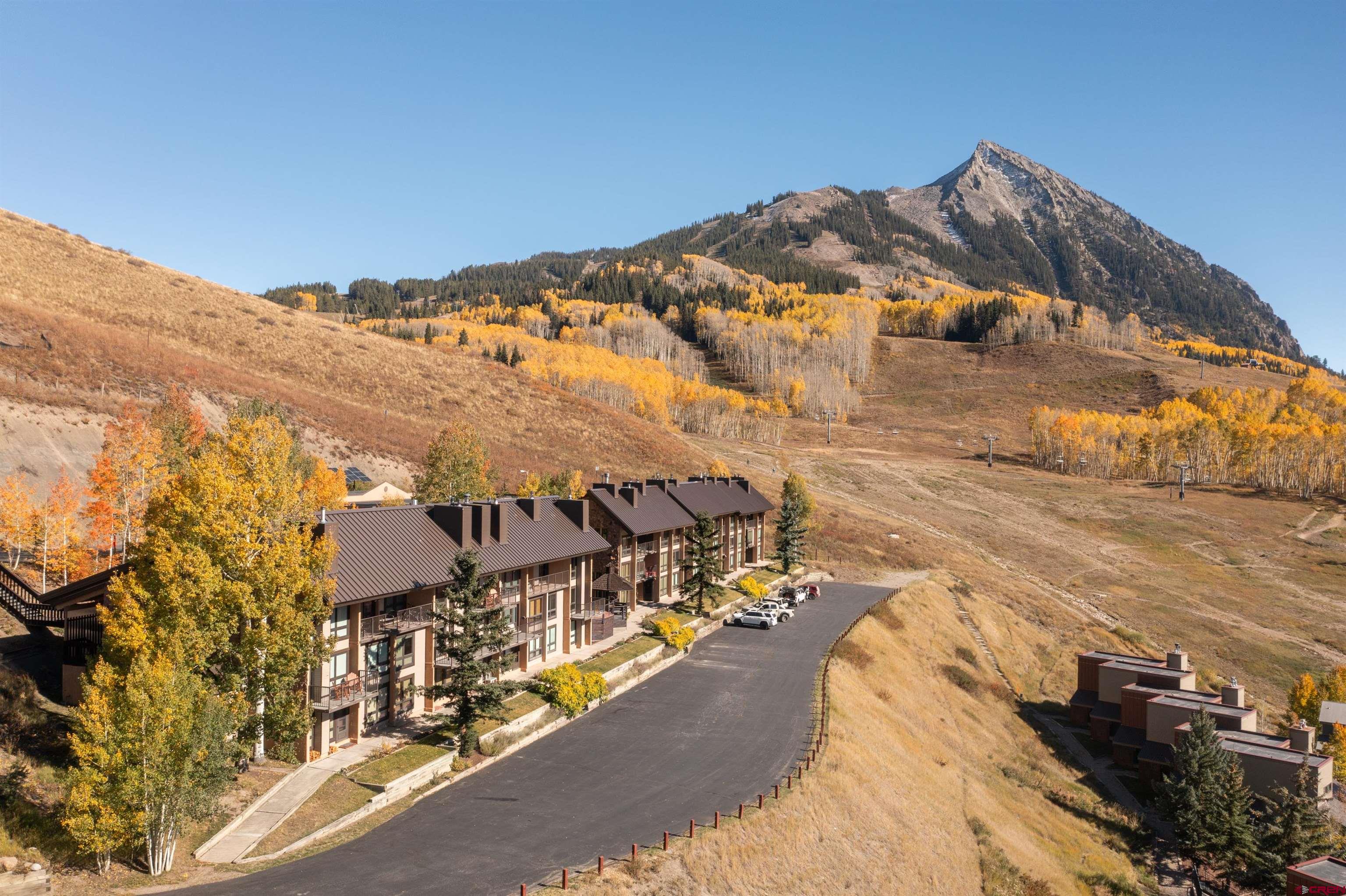 51 Whetstone Road, Mt. Crested Butte, CO 