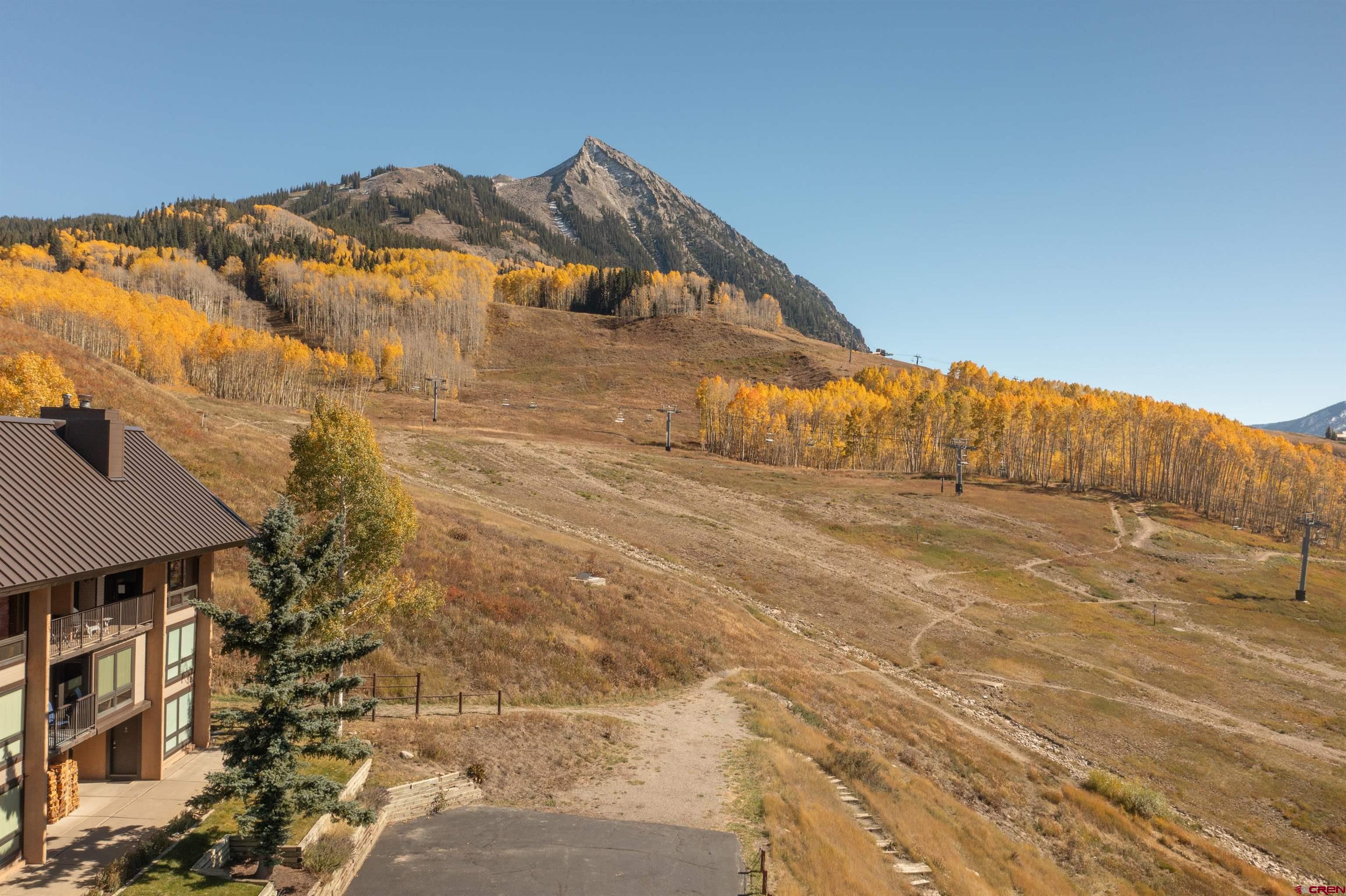51 Whetstone Road, #1103, Mt. Crested Butte, CO 81225 Listing Photo  17