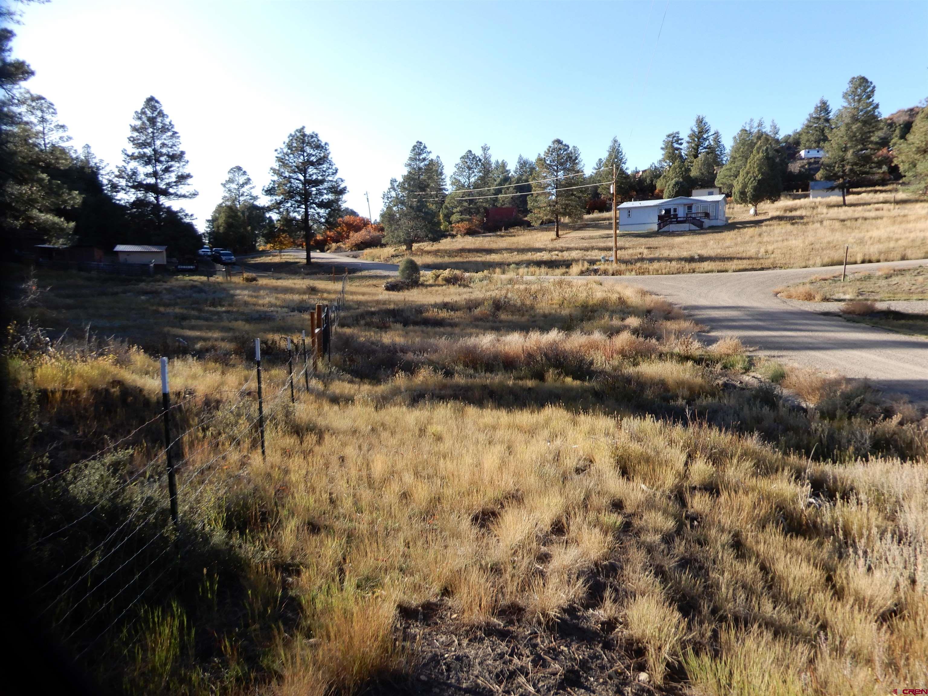 159 W Beucler Lane, Pagosa Springs, CO 81147 Listing Photo  22