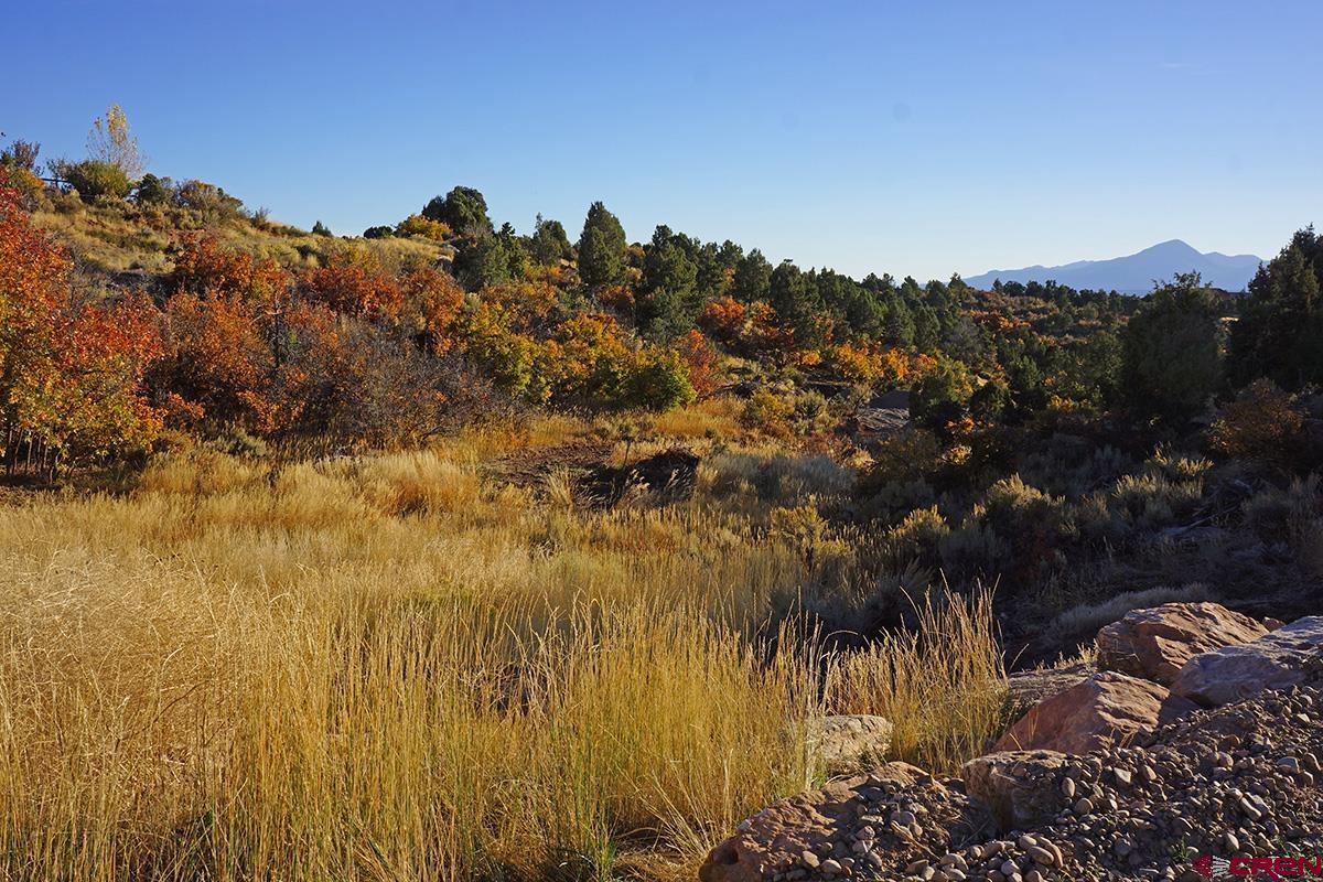 Photo of 25600 Rd U8 in Dolores, CO