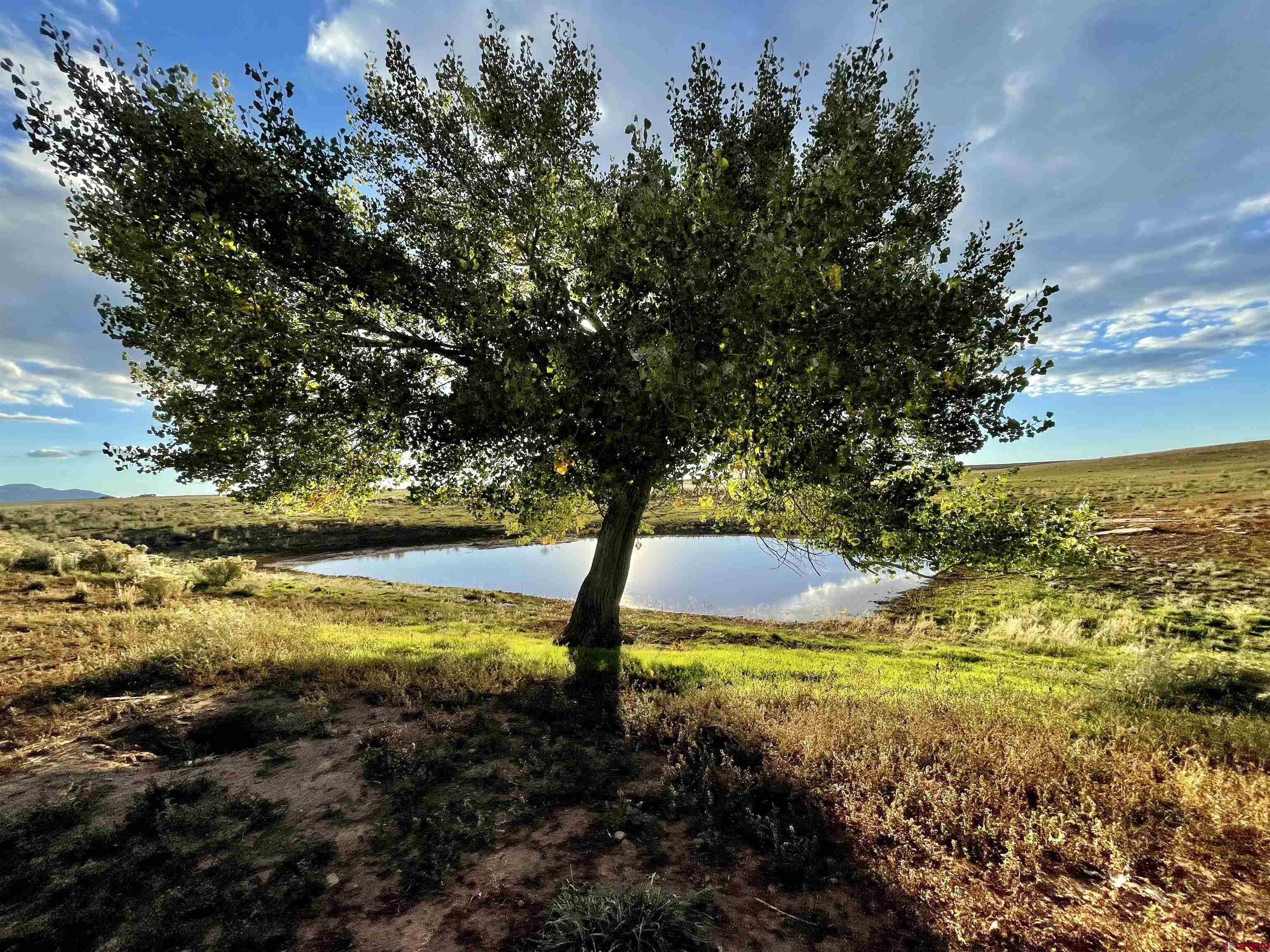 Photo of Tbd Rd 17 in Cortez, CO