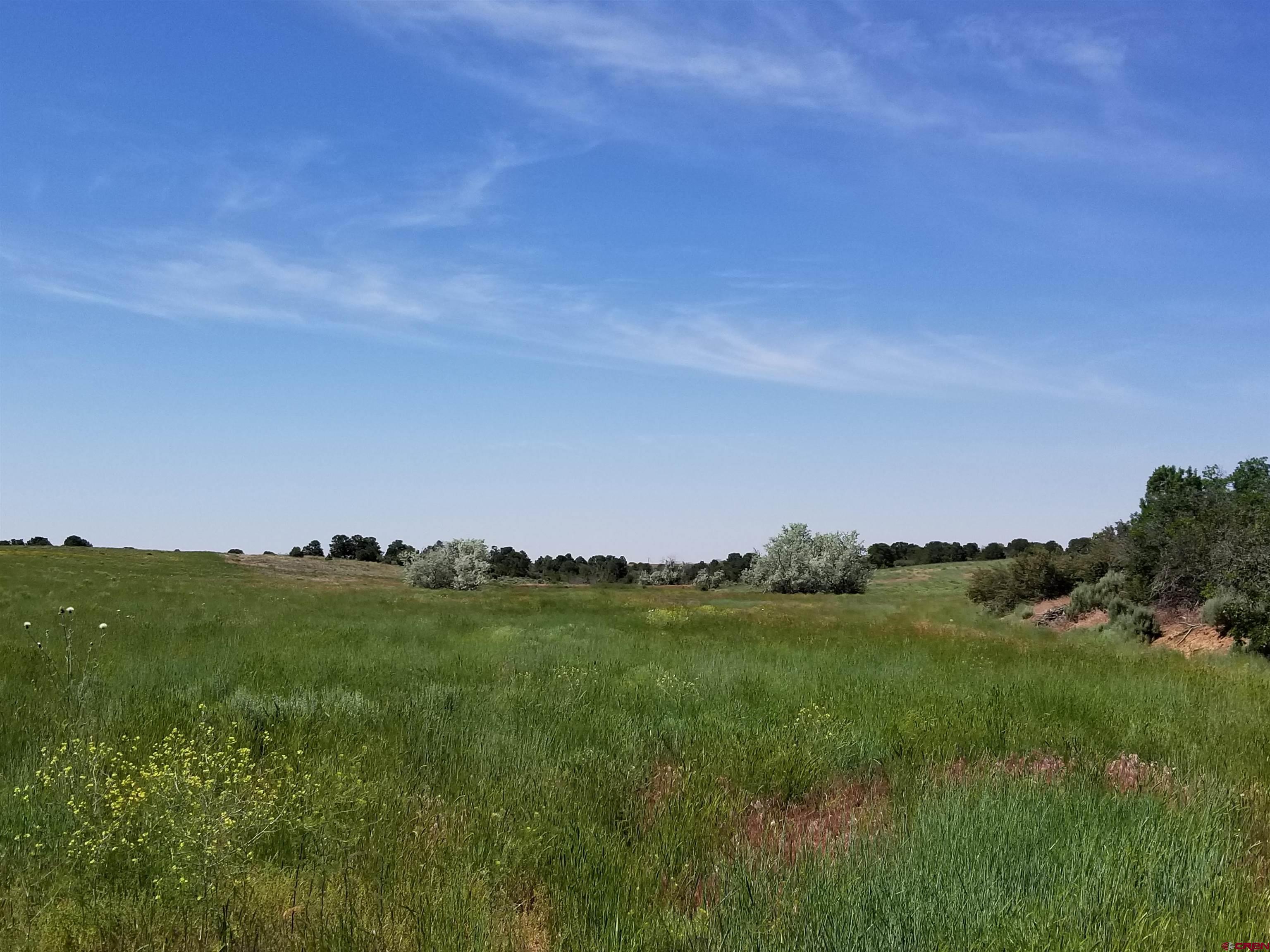 Photo of Tbd Rd 6HS in Egnar, CO