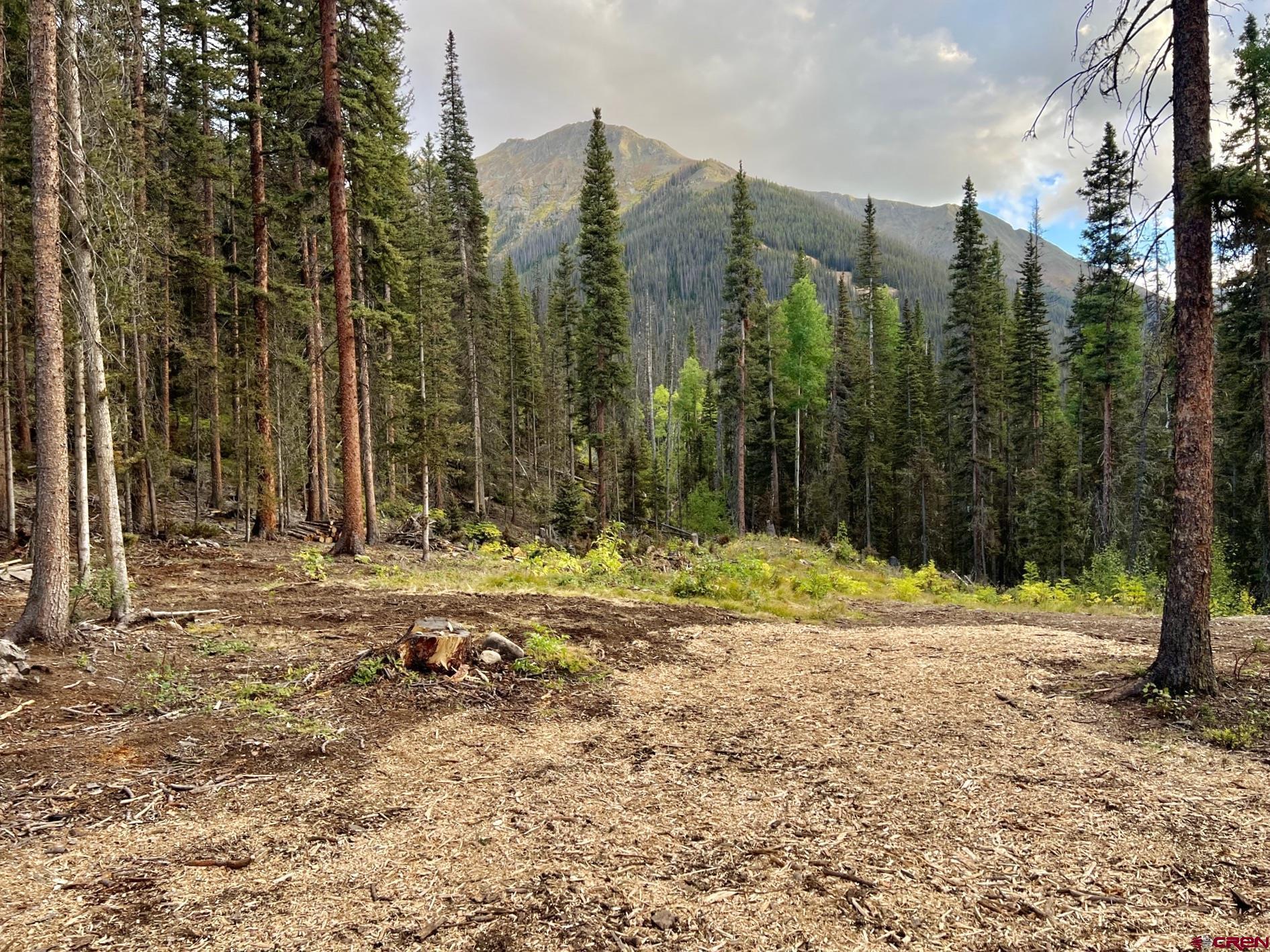Photo of Forest Queen #9 County Rd 23C in Silverton, CO