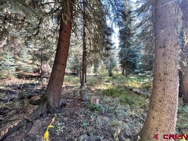 Photo of Tbd Tucker Ln in Bayfield, CO