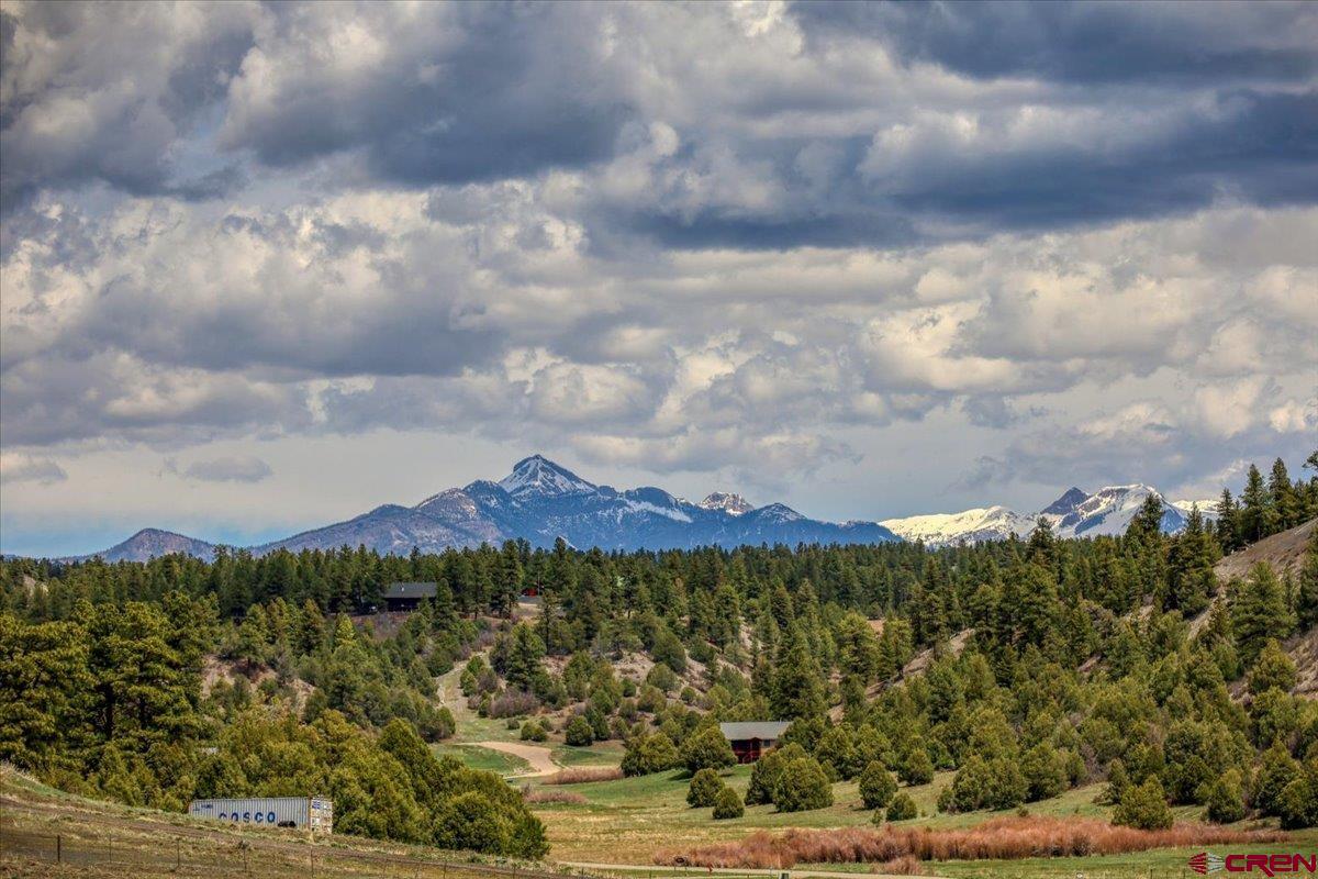 300 Ranch Place, Pagosa Springs, CO 81147 Listing Photo  2