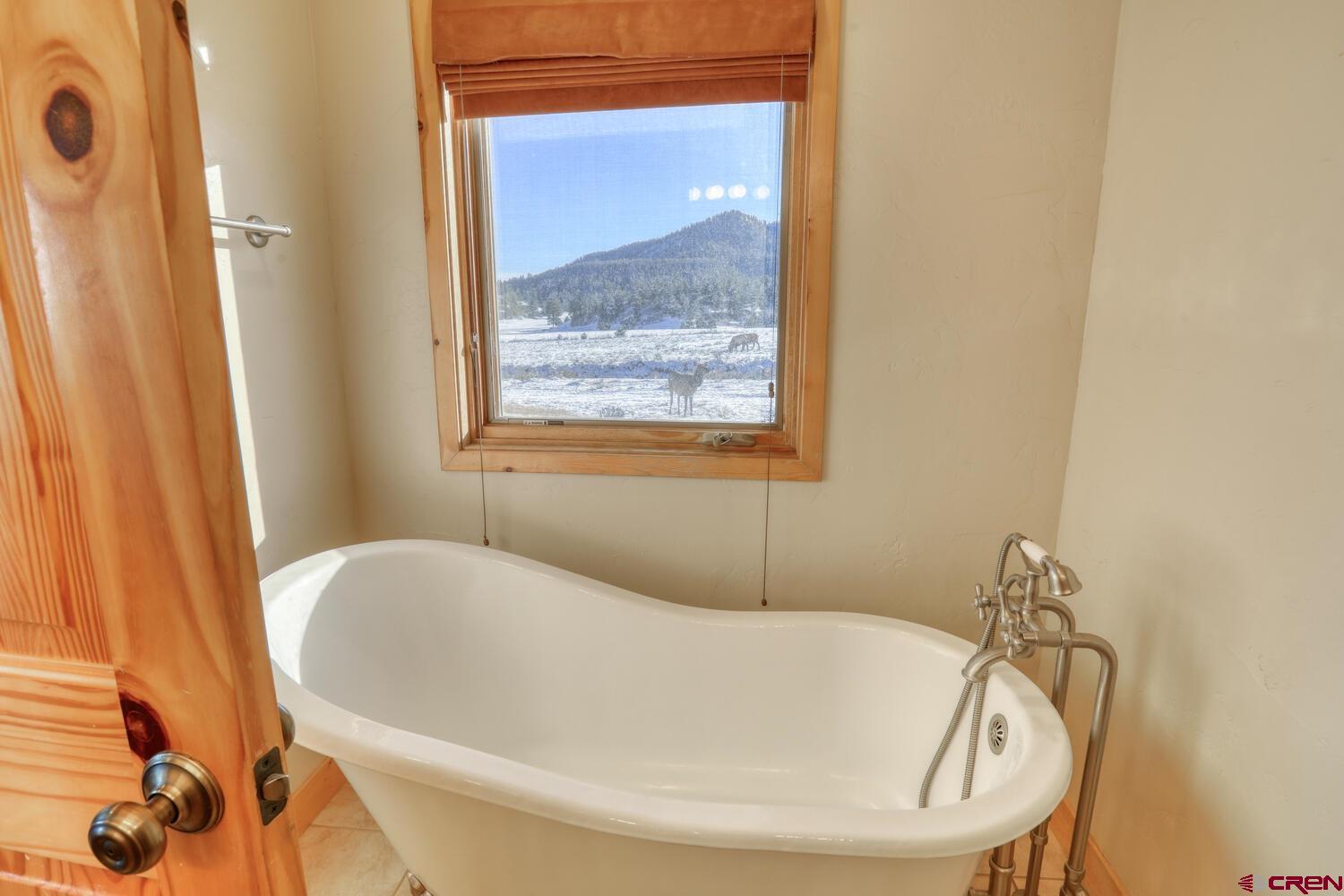300 Ranch Place, Pagosa Springs, CO 81147 Listing Photo  16
