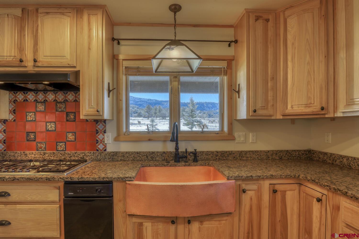300 Ranch Place, Pagosa Springs, CO 81147 Listing Photo  10