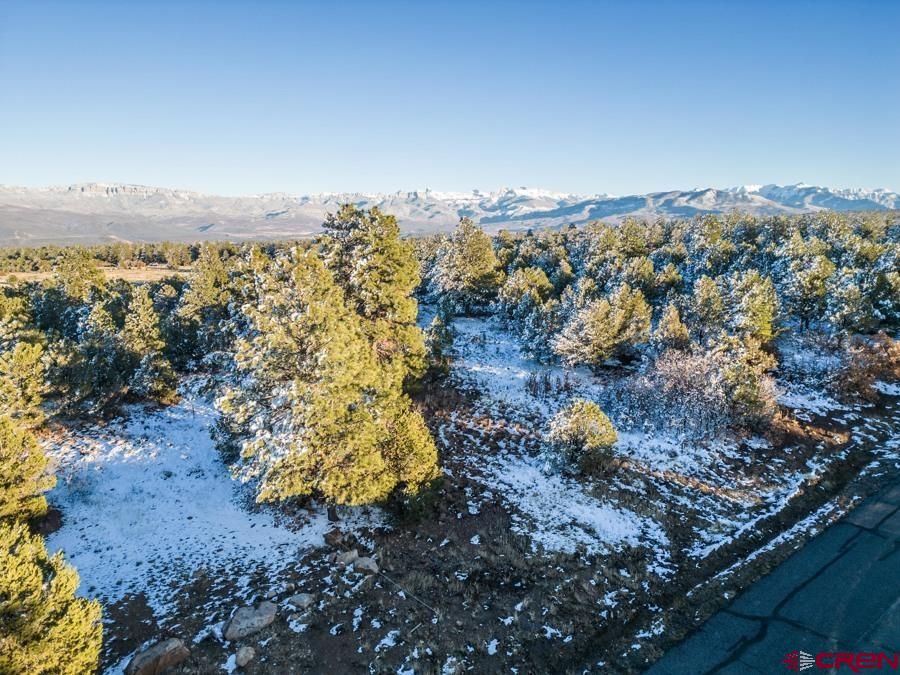 Discover your perfect slice of paradise with this stunning .926-acre lot located at N Badger Trail, Ridgway, CO, 81432. Surrounded by the breathtaking beauty of Western Colorado, this property is ideal for adventurous second-home owners and outdoor enthusiasts alike.   Imagine waking up each day to indulge in the multitude of activities that this hidden gem has to offer. Tee off at pristine golf courses, explore the countless miles of scenic hiking trails, fish in the golden waters of the Black Canyon, or hit the slopes in Telluride. Every moment spent here will be filled with awe-inspiring experiences and memories that will last a lifetime.   Nestled among majestic Ponderosa Pines at the end of North Badger Trail, this prime lot includes stamped blueprints, paid water/sewer taps, and all underground utilities right to the property. The blueprints are expertly designed to maximize the sweeping mountain views, allowing you to fully embrace the idyllic lifestyle that this region provides.   Don't miss your chance to experience the life you've always dreamed  Owner financing available to qualified Buyer with 20% down 6% interest 5 year amortization.