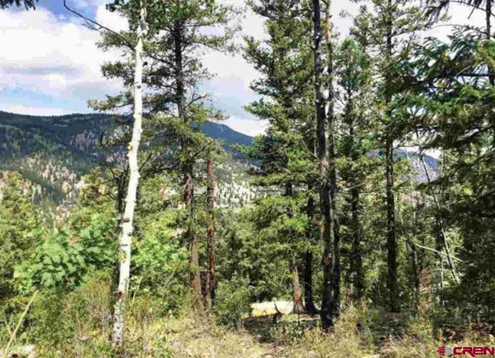 Lot 65 Red Mountain Road, Lake City, CO 