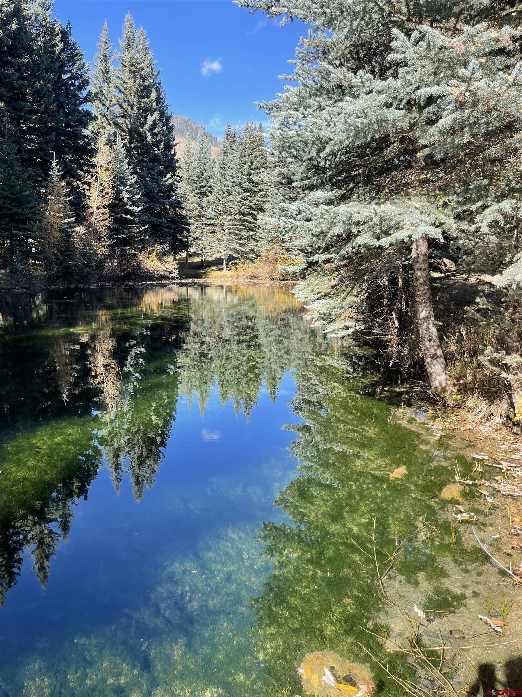 Photo of 3 Boletus Creek Dr in Vallecito Lake-Bayfield, CO