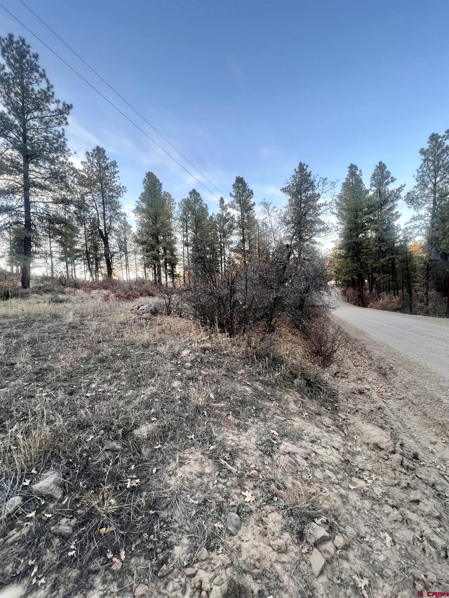 1208 Oak Drive Pagosa Springs CO 81147 Active