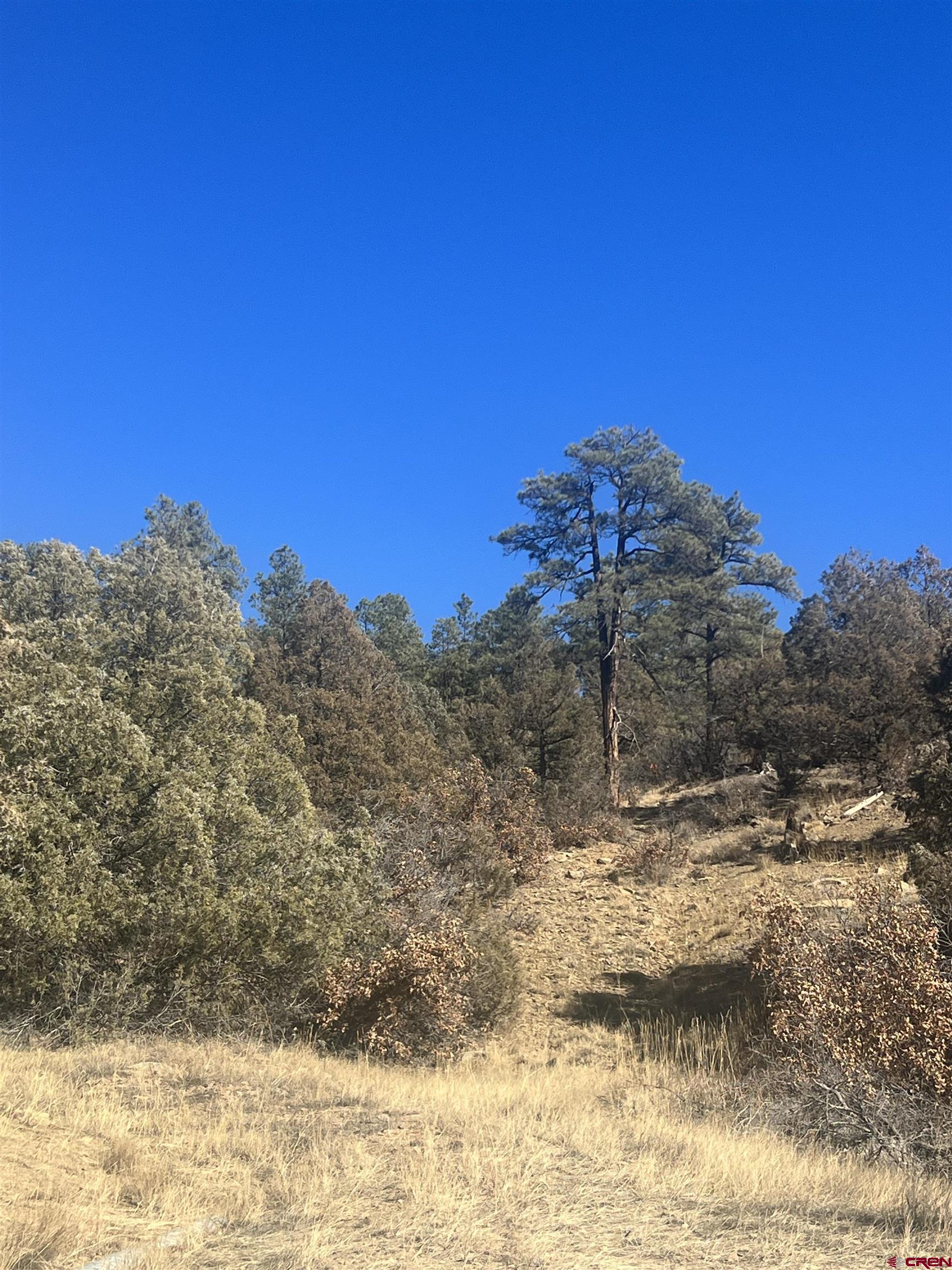 County Road 700 42 - ke3rq6z
