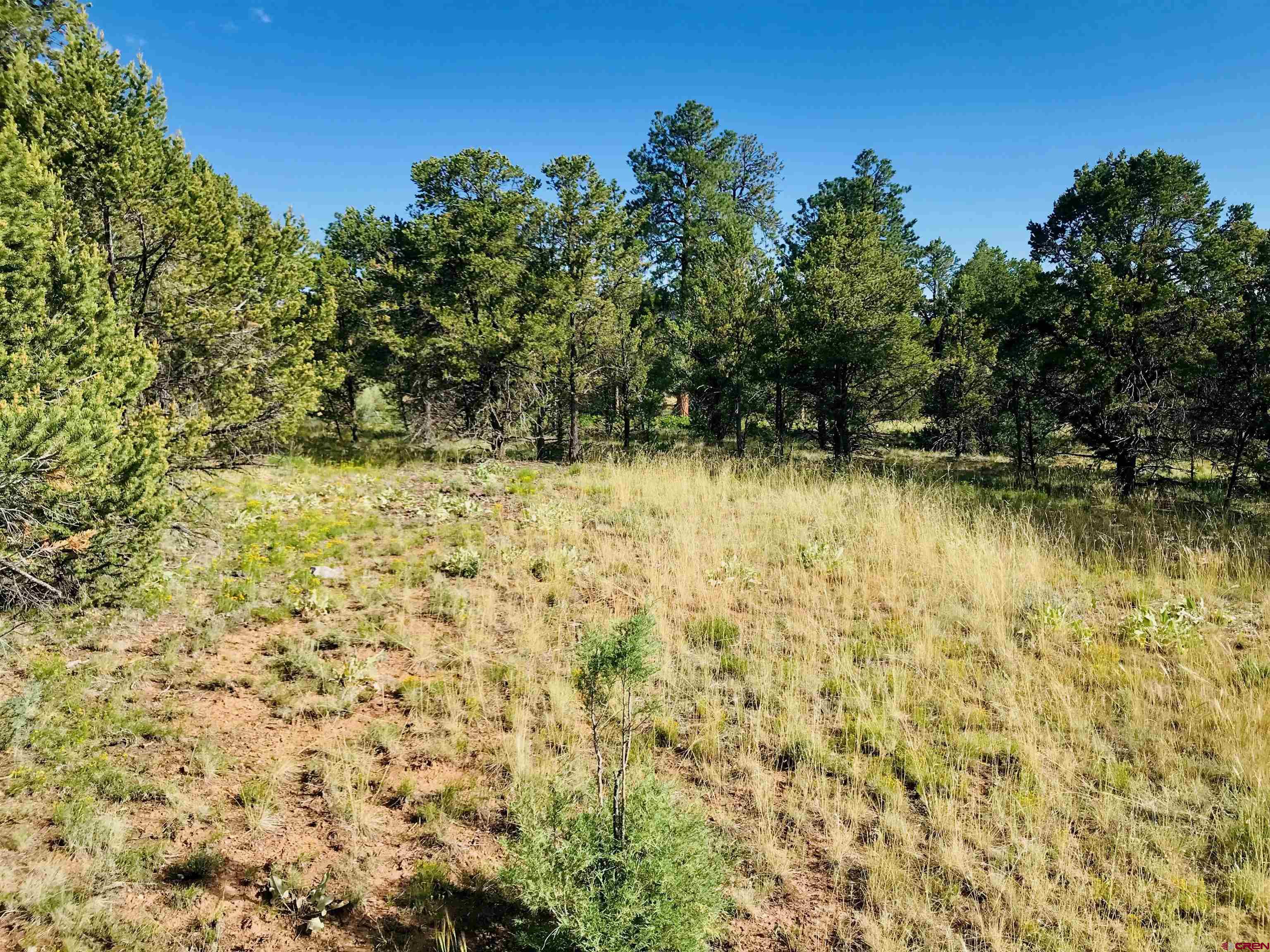 TBD Lot 6 Waterview Court Ridgway CO 81432 Active