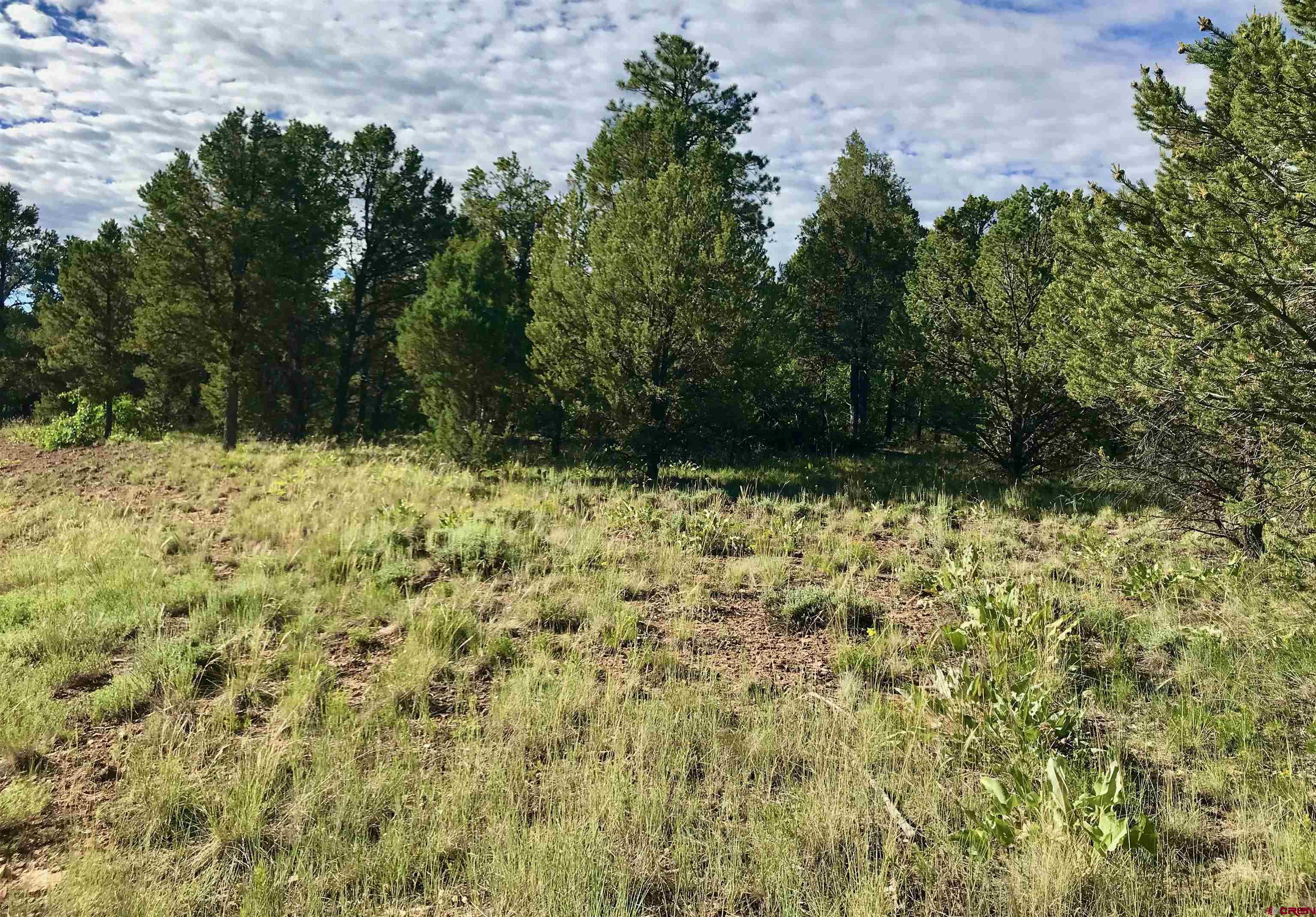 TBD Lot 6 Waterview Court Ridgway CO 81432 Active