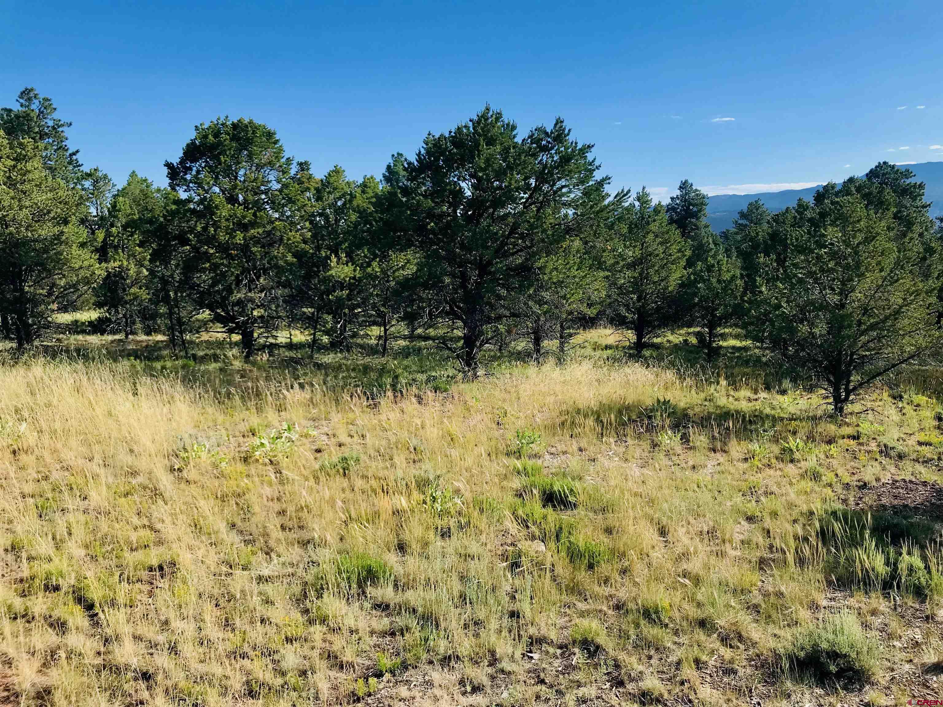 TBD Lot 6 Waterview Court Ridgway CO 81432 Active