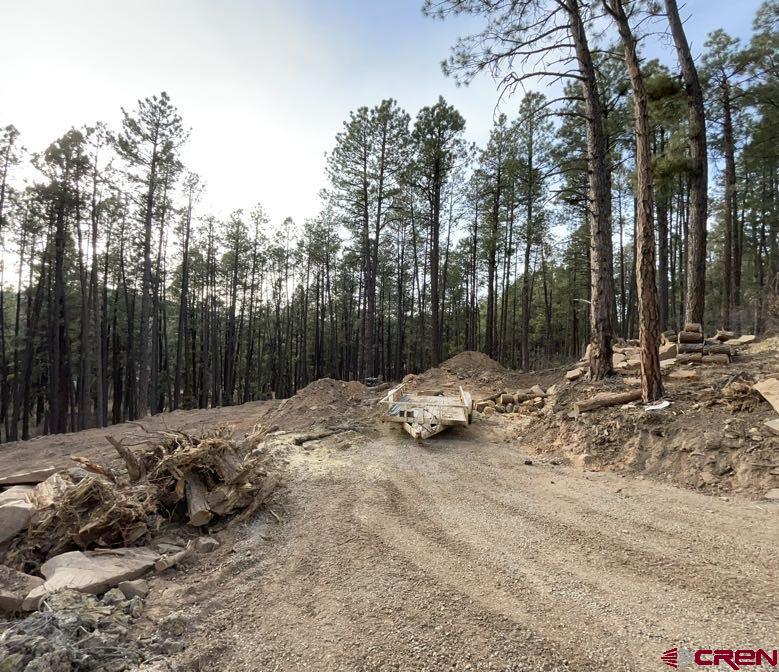 Photo of 37 Mesa Dr in Bayfield, CO