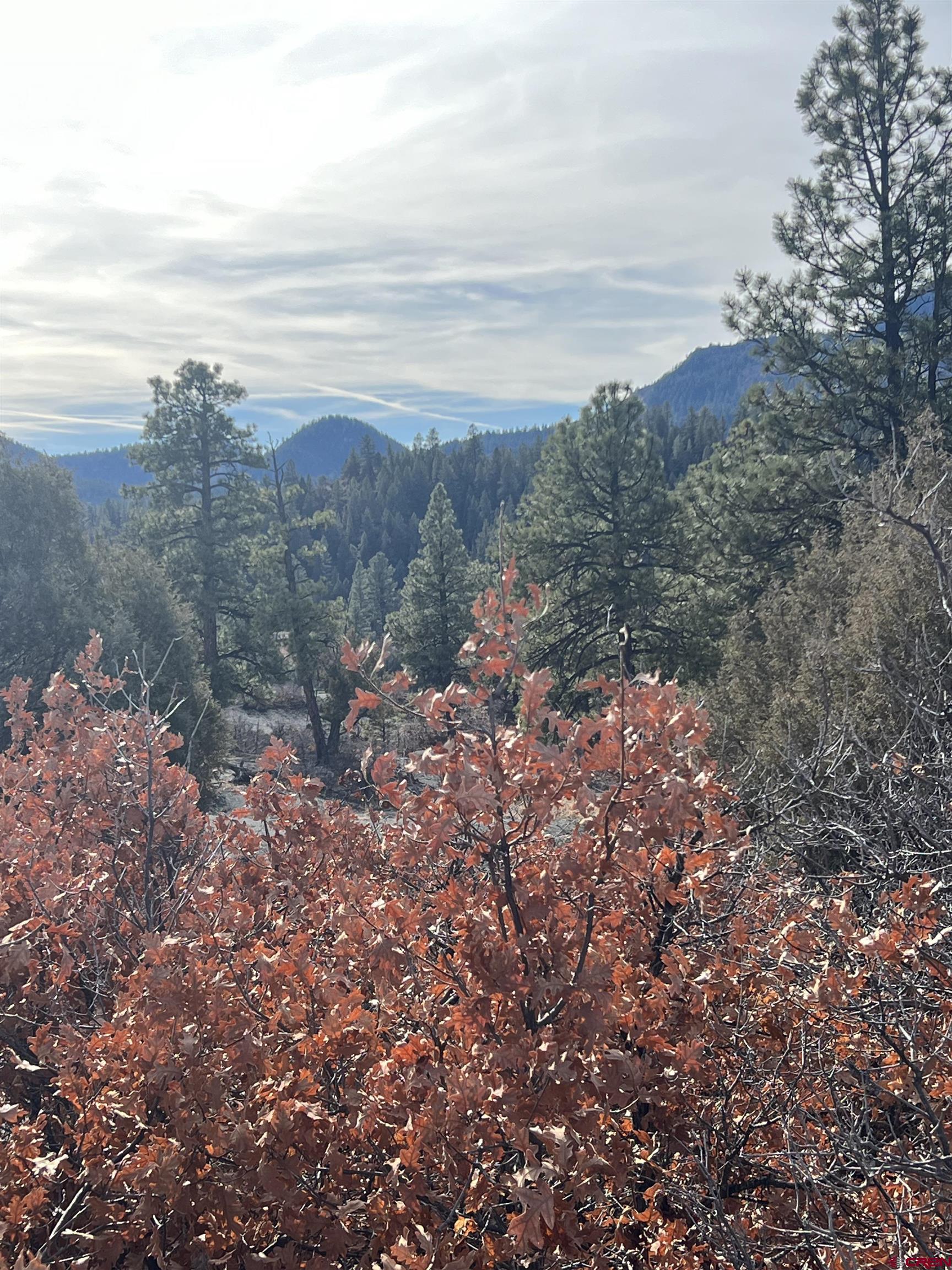 Photo of 225 Crestone Pl in Pagosa Springs, CO