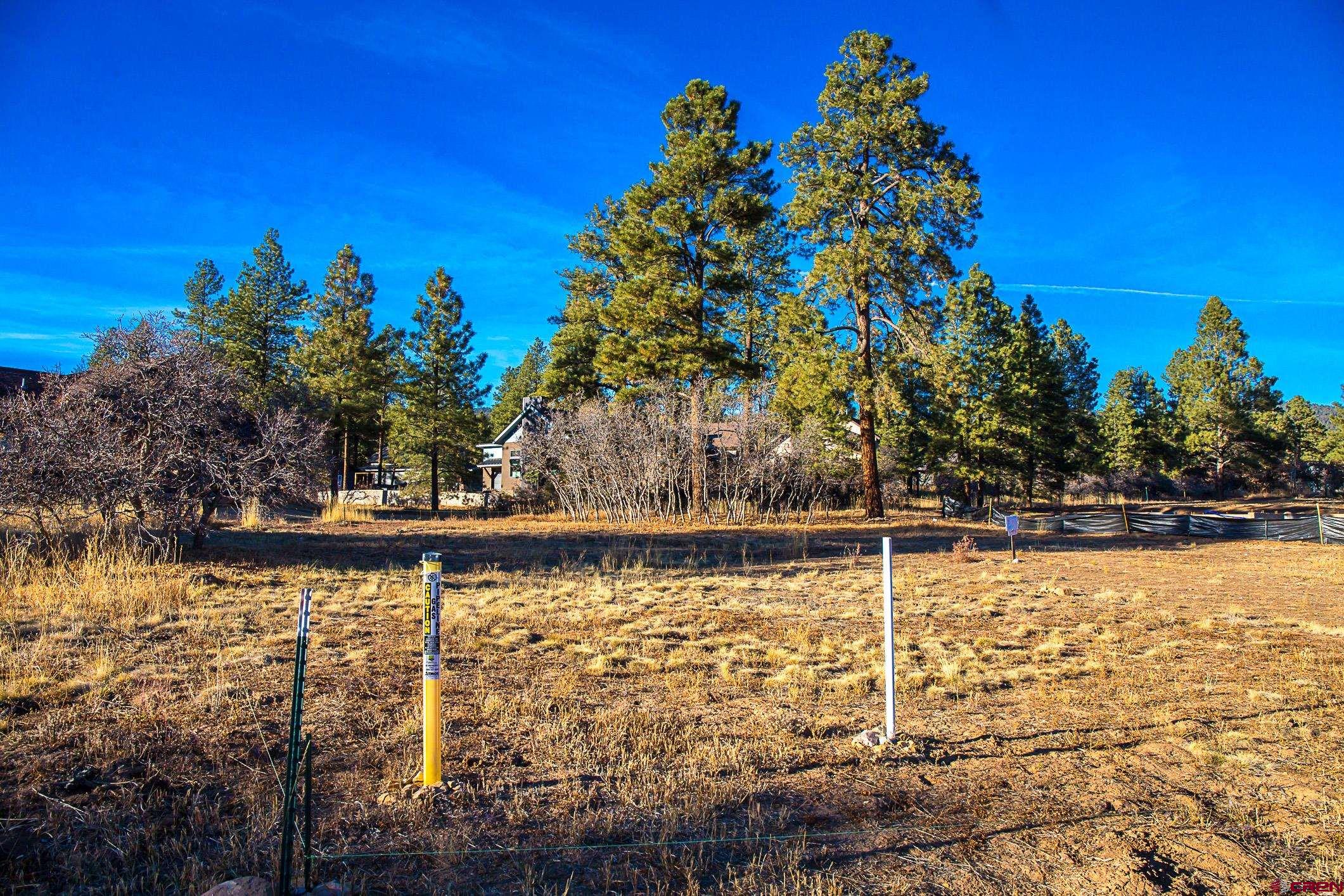 151 Edgemont Meadows Road Durango 81301