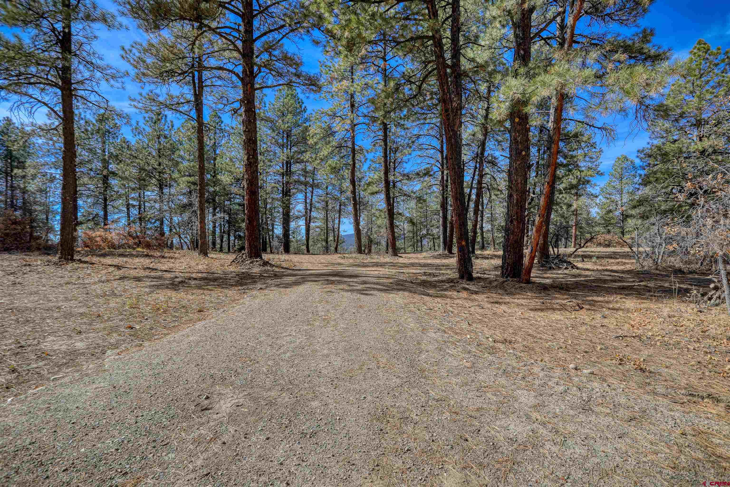 3700-A County Road 600 Lots 1&2, Pagosa Springs, CO 81147 Listing Photo  12