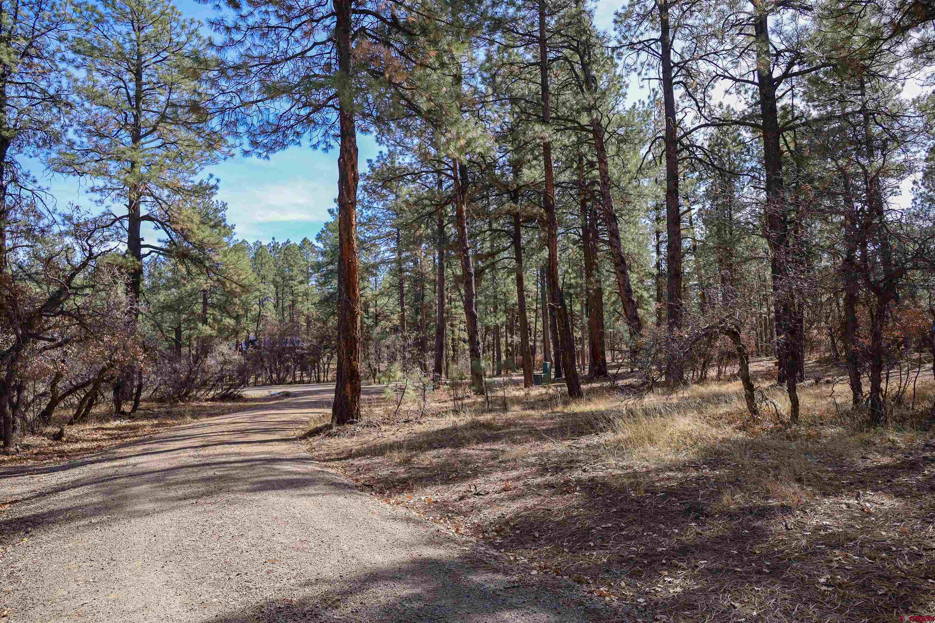 3700-A County Road 600 Lots 1&2, Pagosa Springs, CO 81147 Listing Photo  13
