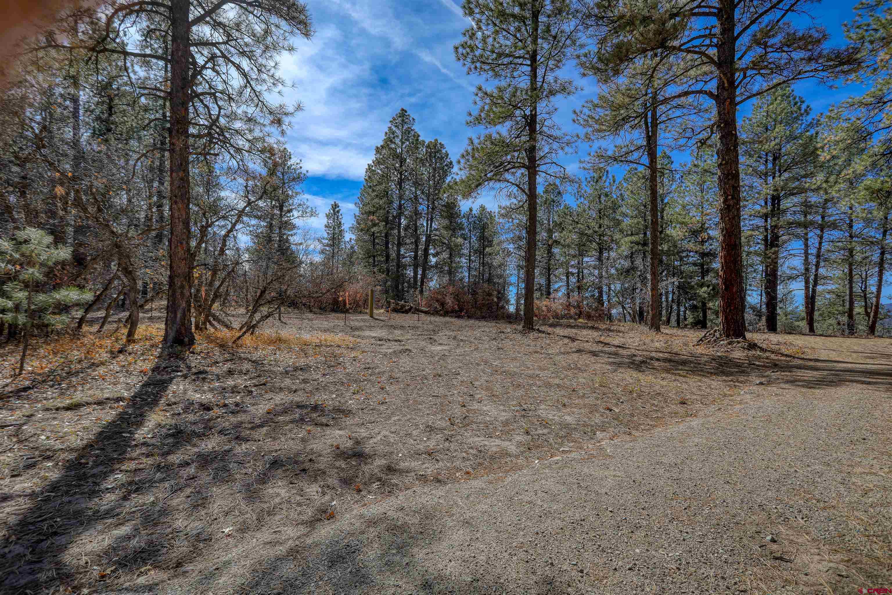 3700-A County Road 600 Lots 1&2, Pagosa Springs, CO 81147 Listing Photo  14