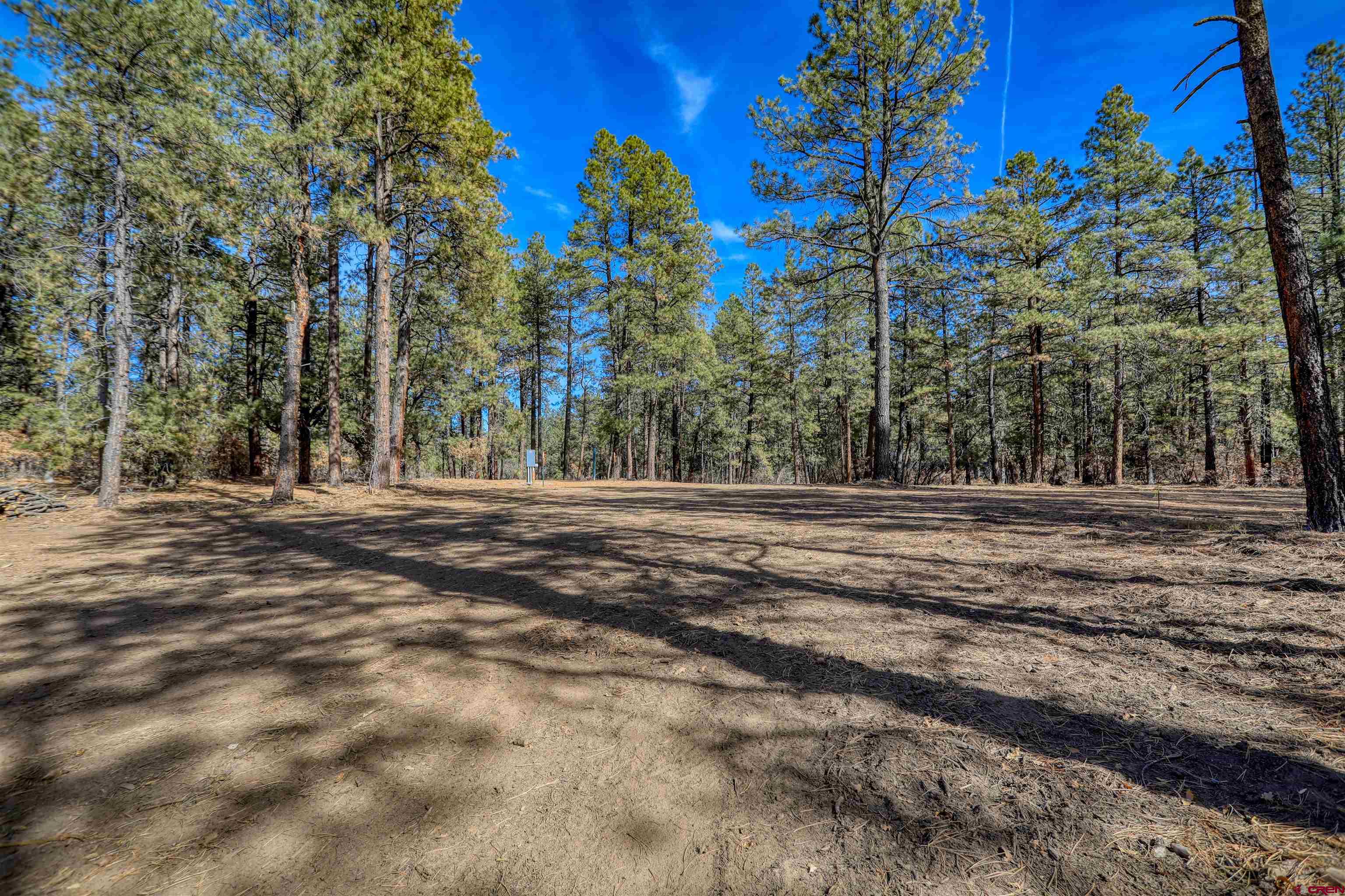 3700-A County Road 600 Lots 1&2, Pagosa Springs, CO 81147 Listing Photo  15