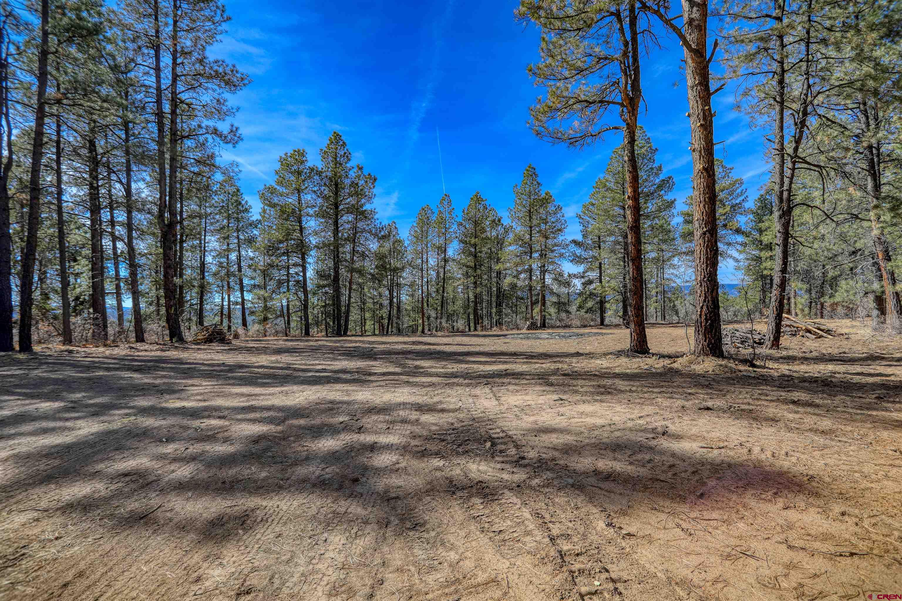 3700-A County Road 600 Lots 1&2, Pagosa Springs, CO 81147 Listing Photo  17