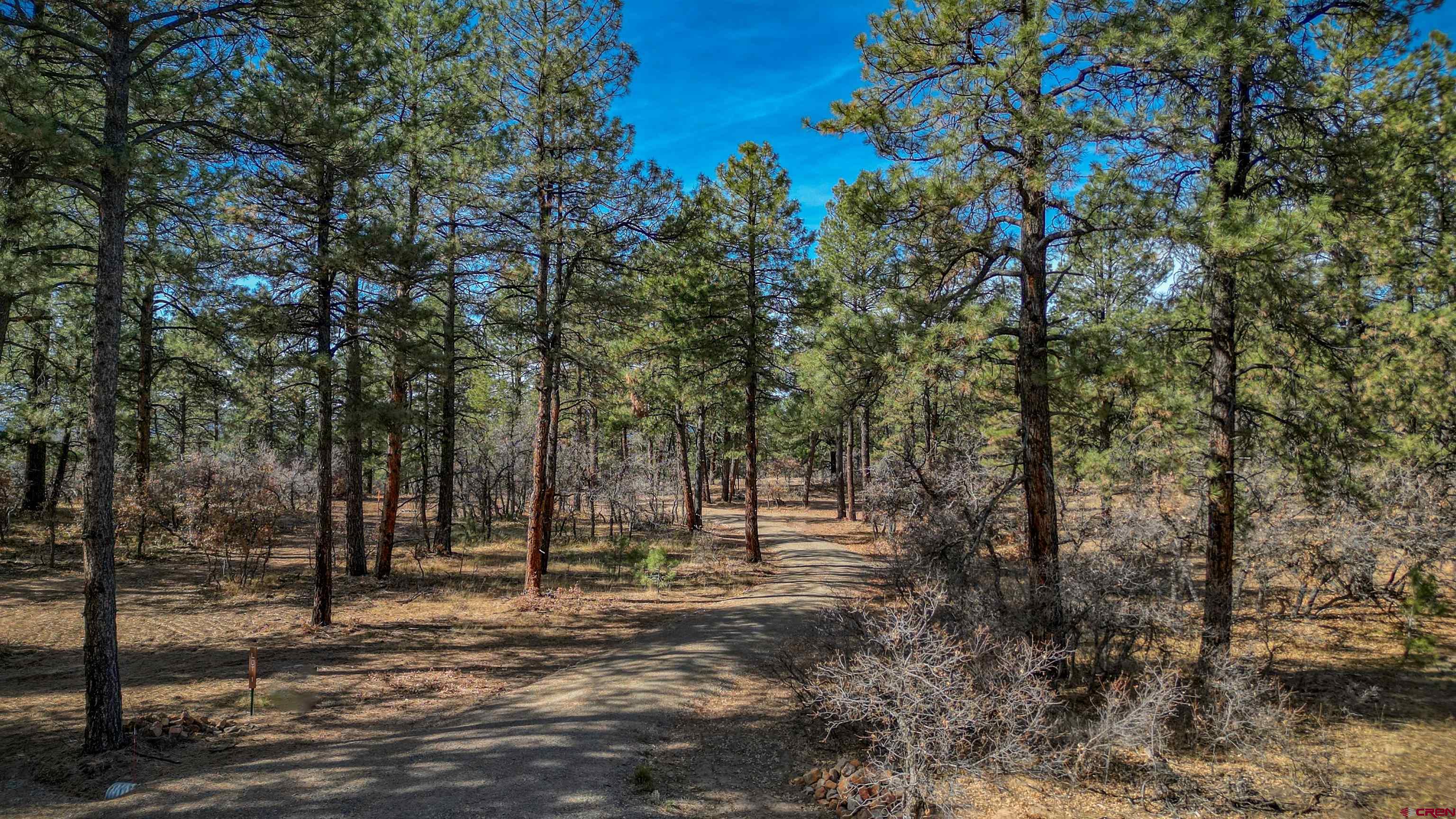 3700-A County Road 600 Lots 1&2, Pagosa Springs, CO 81147 Listing Photo  19