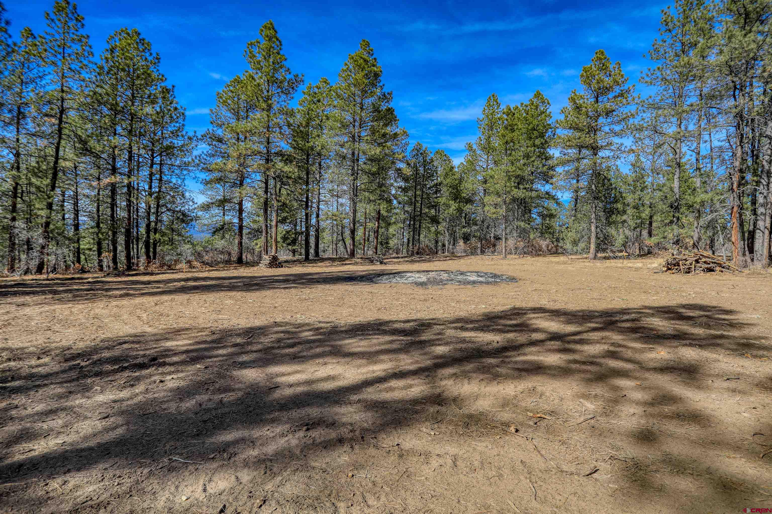 3700-A County Road 600 Lots 1&2, Pagosa Springs, CO 81147 Listing Photo  20
