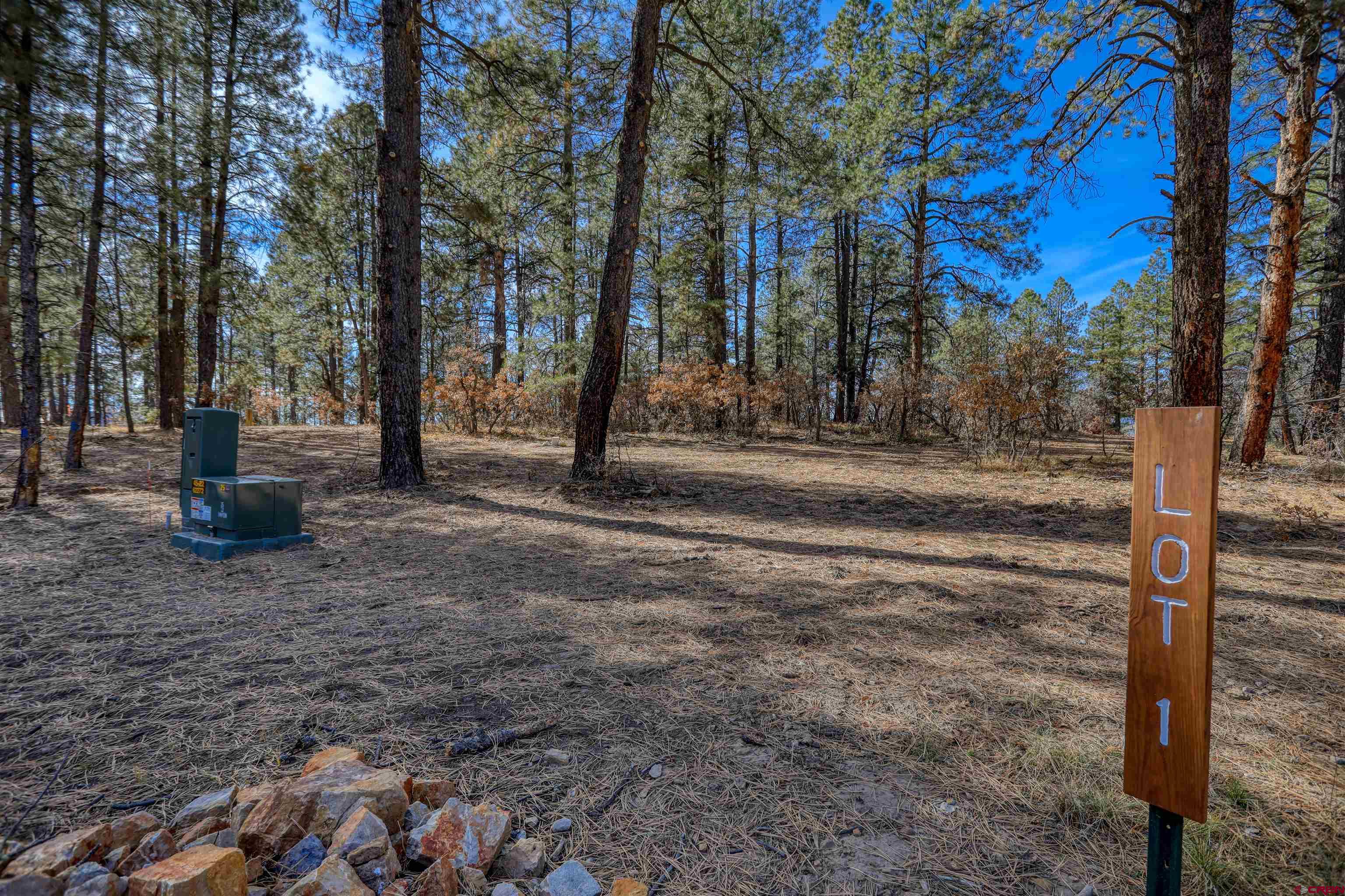 3700-A County Road 600 Lots 1&2, Pagosa Springs, CO 81147 Listing Photo  3