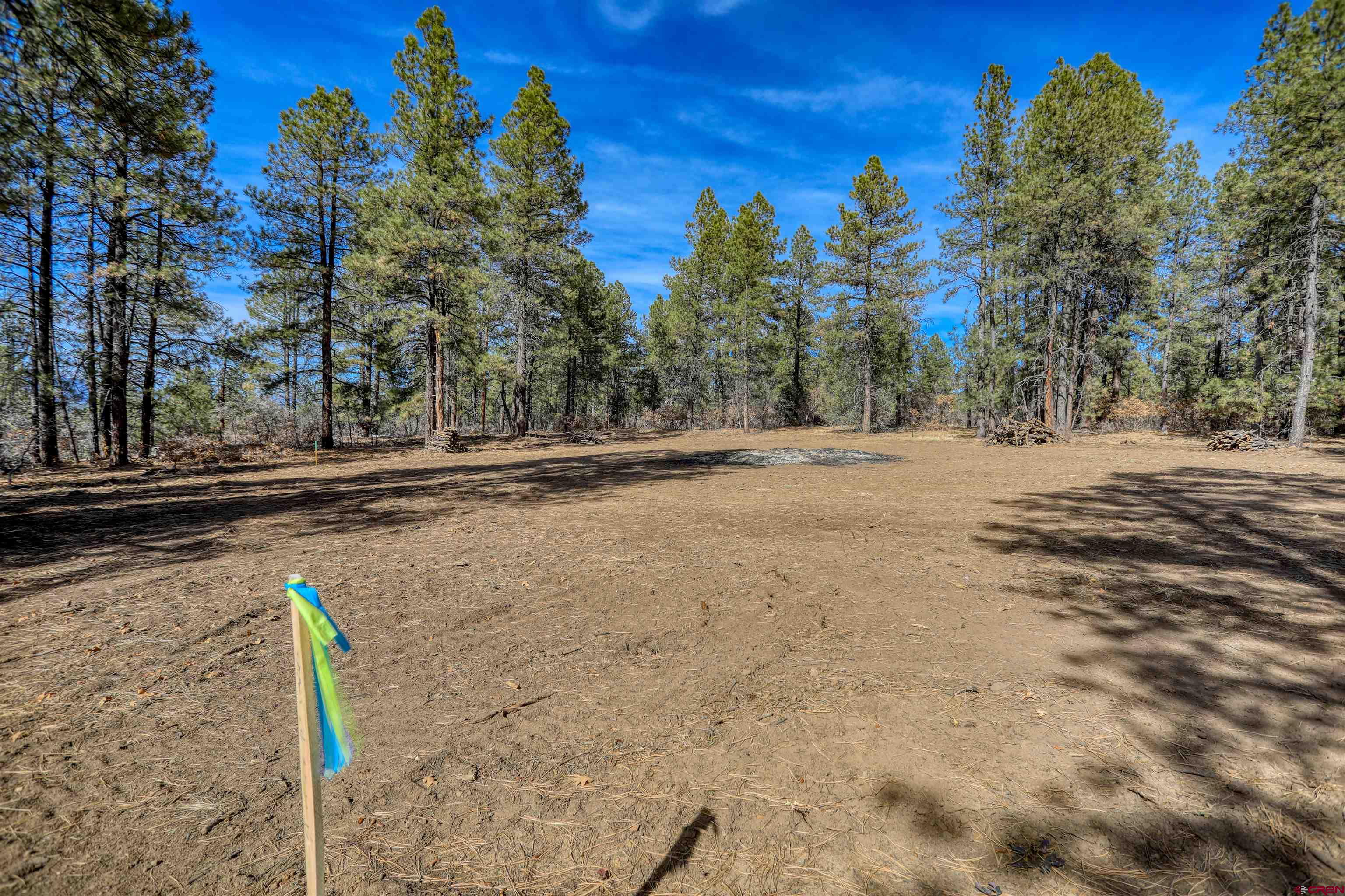 3700-A County Road 600 Lots 1&2, Pagosa Springs, CO 81147 Listing Photo  21