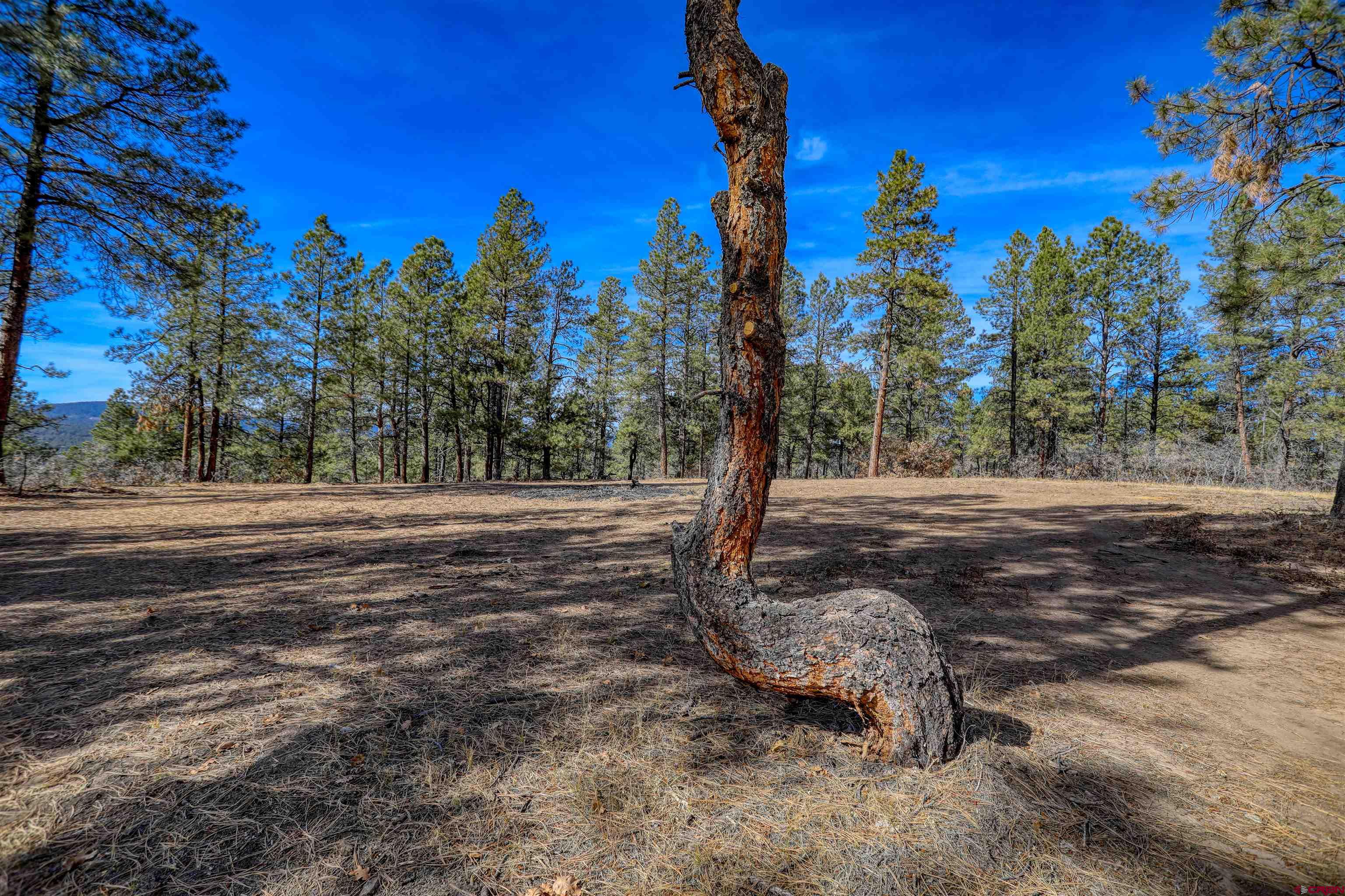 3700-A County Road 600 Lots 1&2, Pagosa Springs, CO 81147 Listing Photo  22