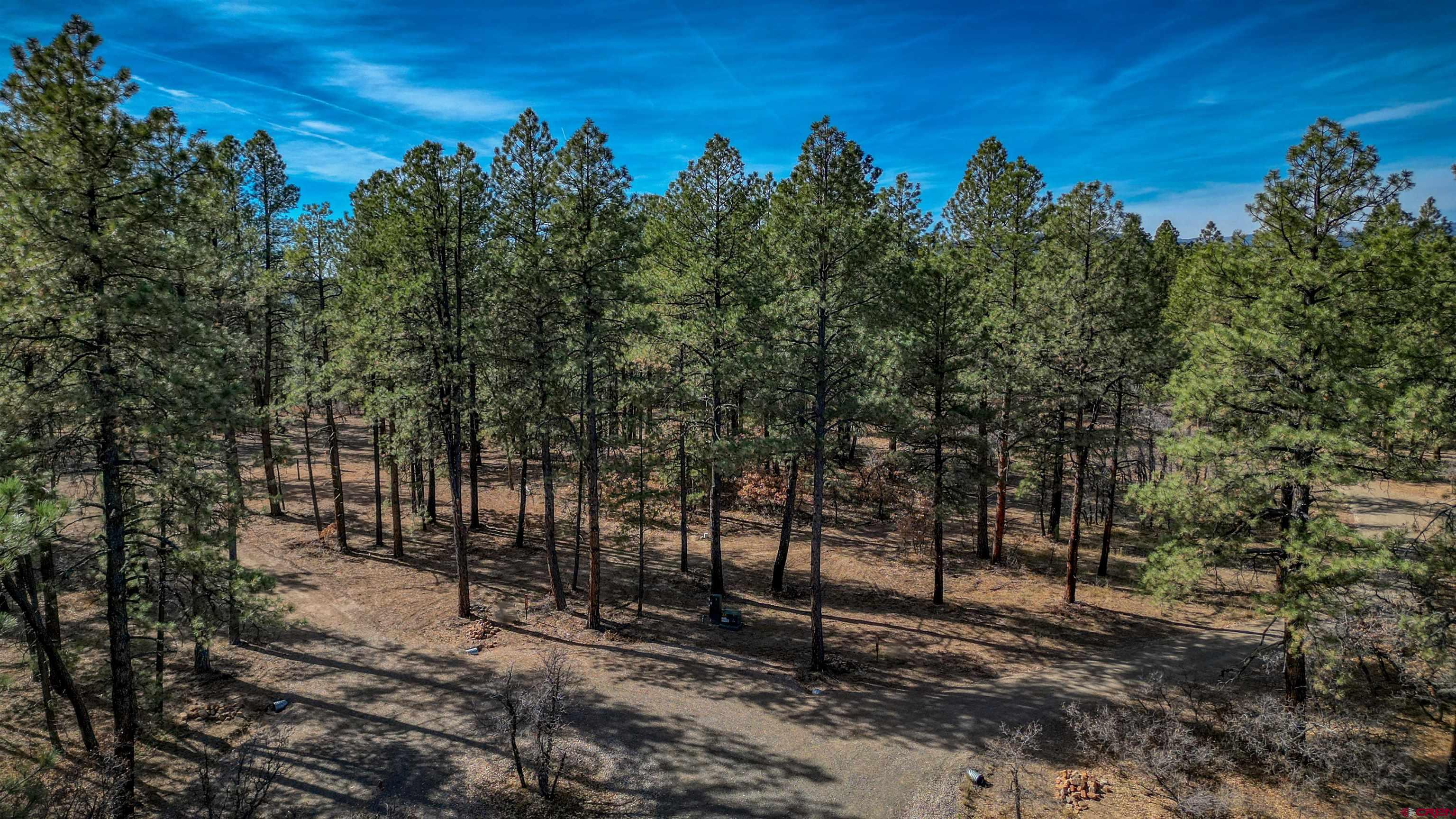 3700-A County Road 600 Lots 1&2, Pagosa Springs, CO 81147 Listing Photo  24