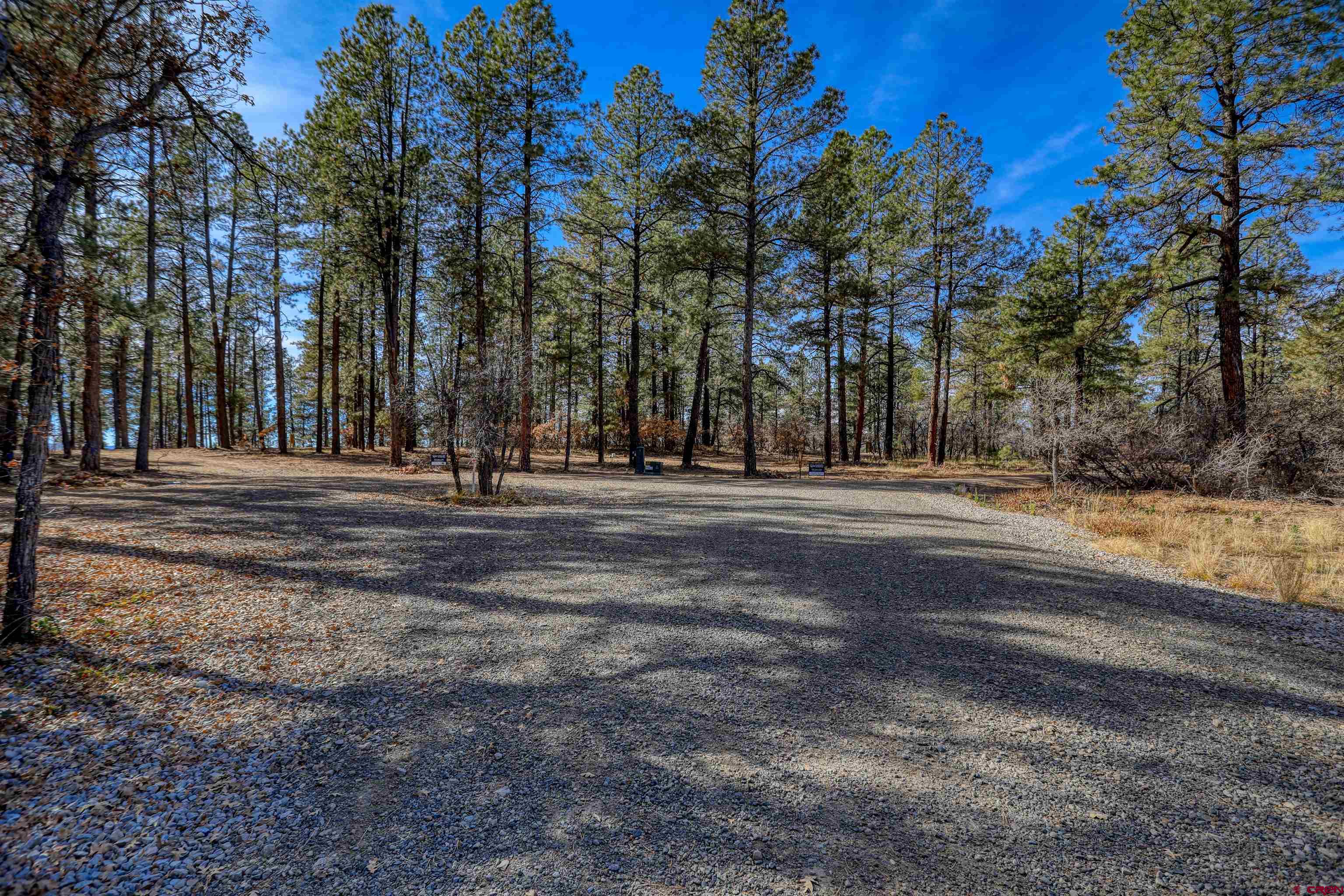 3700-A County Road 600 Lots 1&2, Pagosa Springs, CO 81147 Listing Photo  25