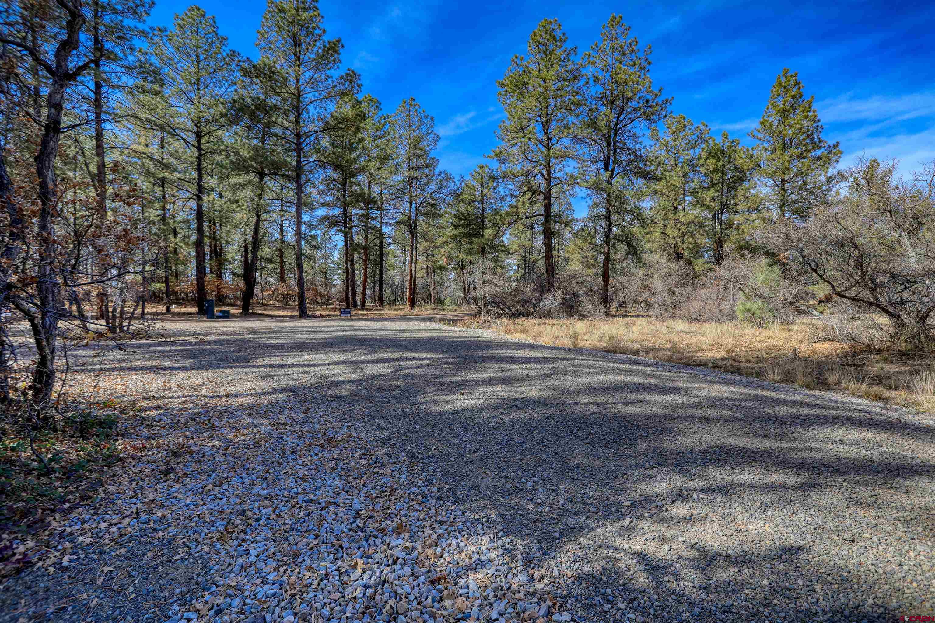 3700-A County Road 600 Lots 1&2, Pagosa Springs, CO 81147 Listing Photo  26