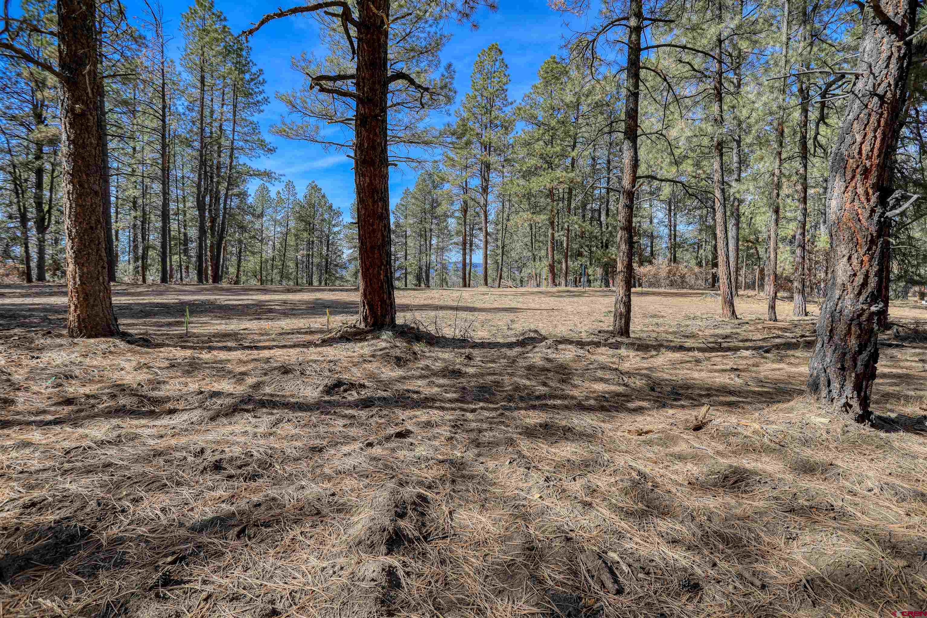 3700-A County Road 600 Lots 1&2, Pagosa Springs, CO 81147 Listing Photo  27