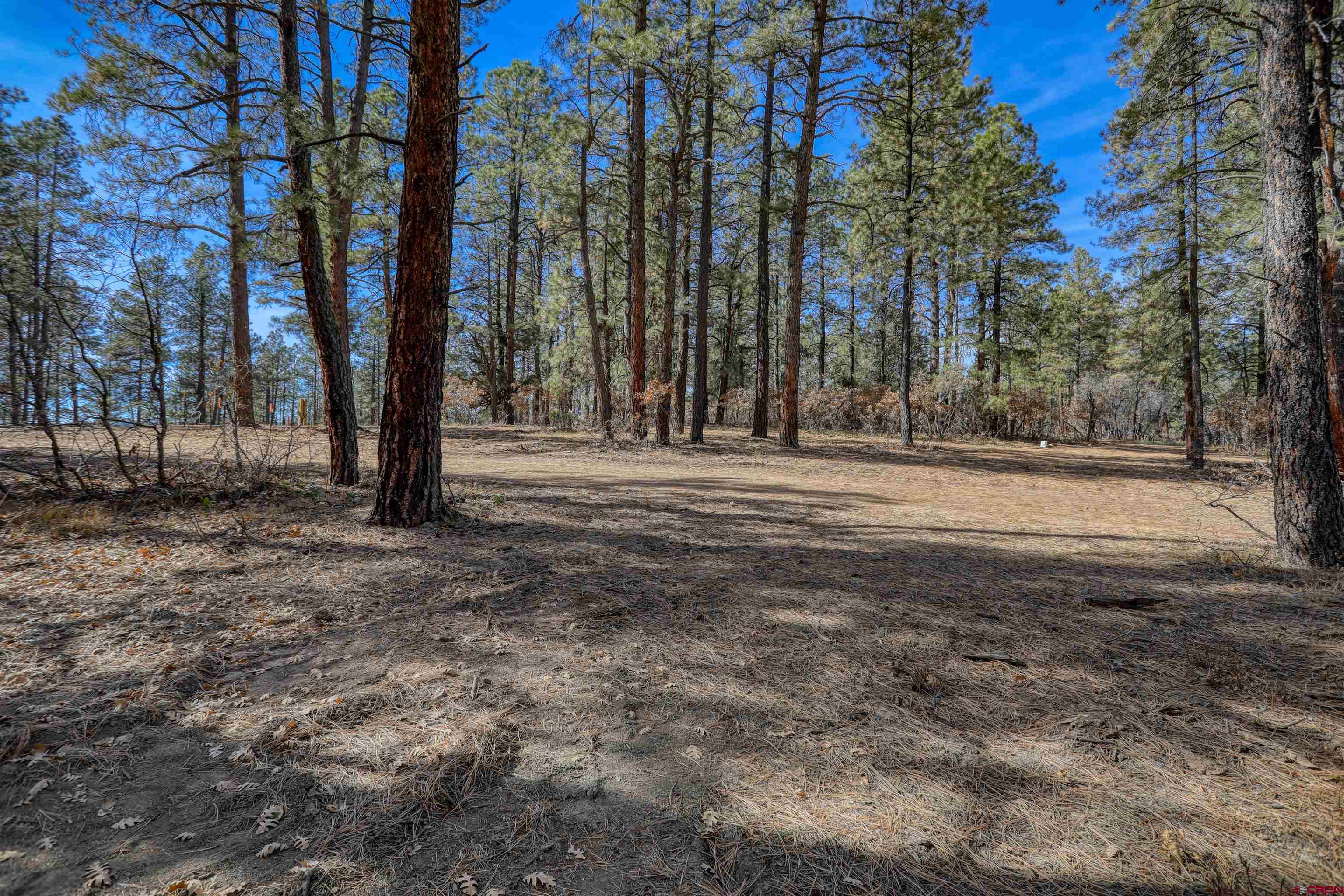 3700-A County Road 600 Lots 1&2, Pagosa Springs, CO 81147 Listing Photo  28